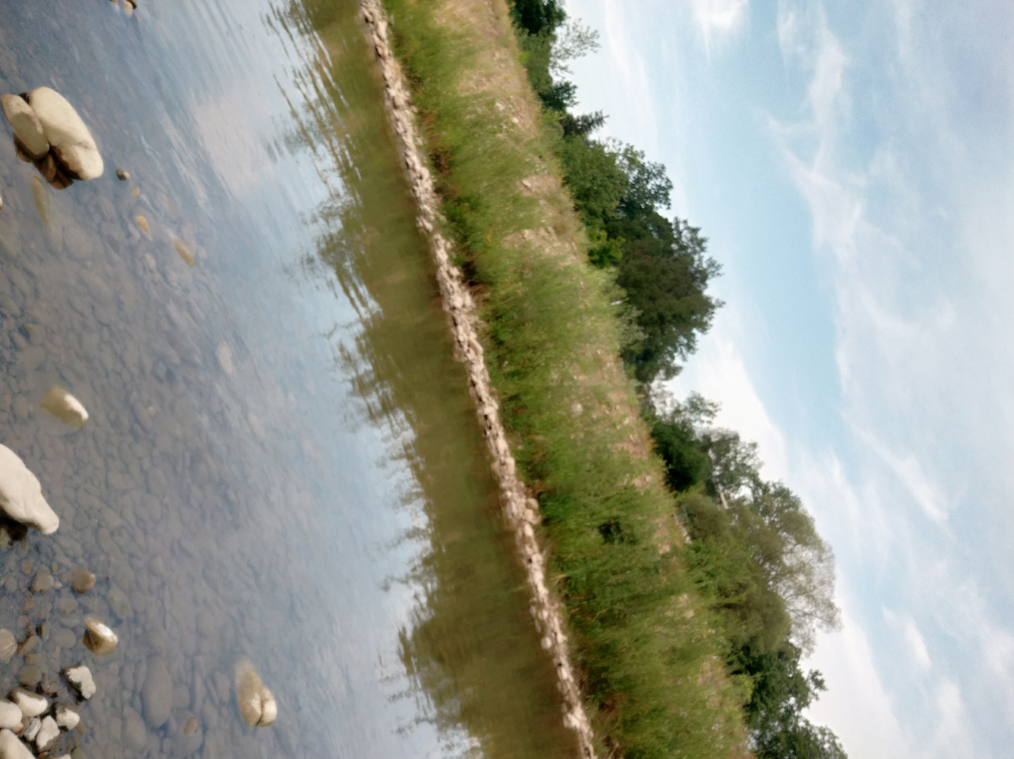A low-angle, full shot captures a body of water with a rocky riverbed visible beneath the surface. The water is calm, with ripples distorting the reflection of the sky and trees. The riverbank to the left is lined with rocks and overgrown with tall green grass and other vegetation. Beyond the bank, a dense line of trees forms a backdrop, with some lighter-colored foliage mixed in. The sky above is a pale blue, with wispy white clouds scattered across it. The overall scene depicts a natural landscape, likely a river or stream in a rural or park-like setting, under an overcast sky. The image is tilted, suggesting it was taken from a slightly sloped perspective.