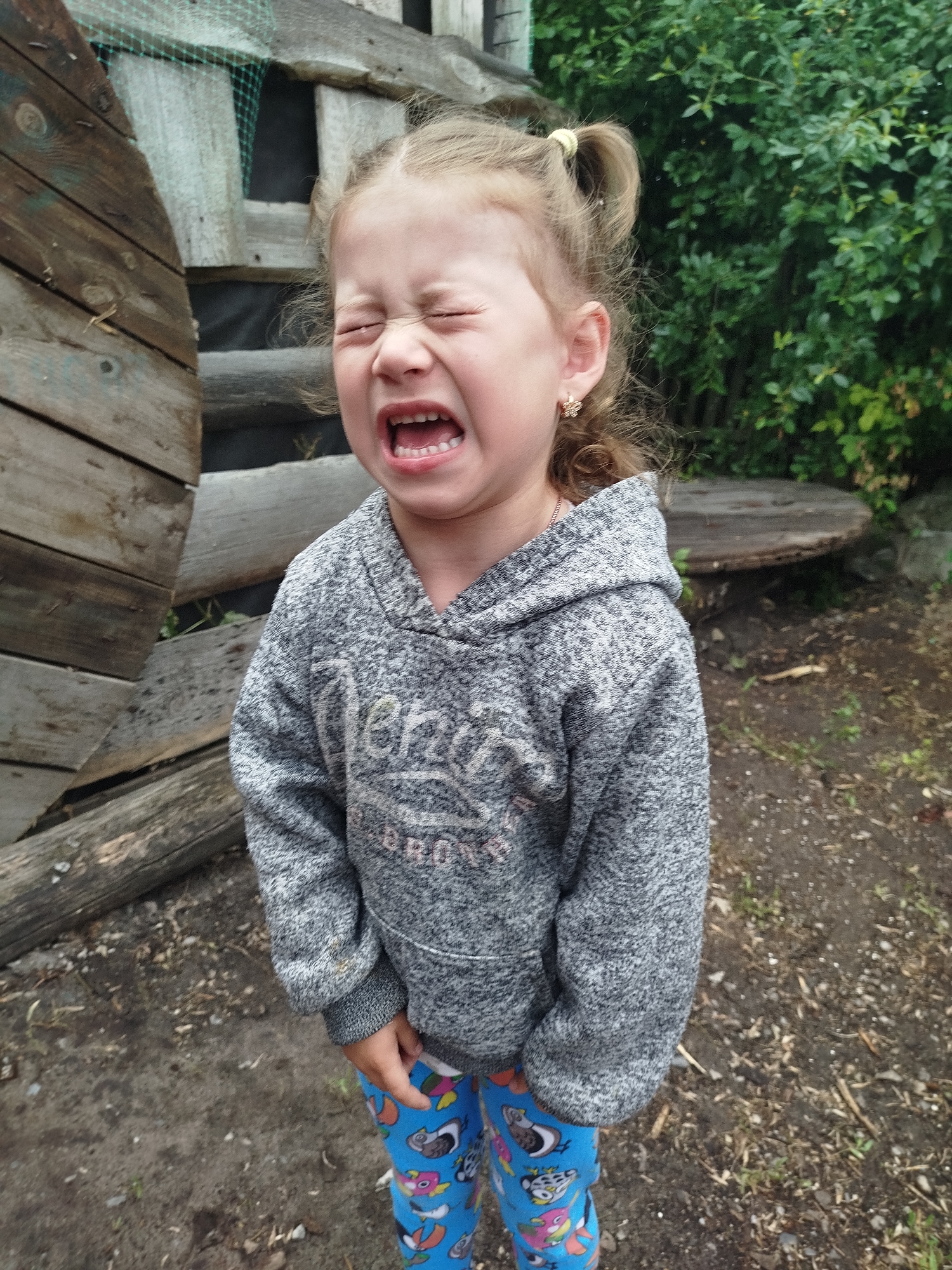A young girl with blonde hair in pigtails is crying with her eyes closed and mouth open in the village of Krasny Gulyai, Russia. She is wearing a grey hooded sweatshirt and blue leggings with colorful bird patterns. The background consists of rustic wooden structures and lush green foliage. The ground is covered with dirt, twigs, and leaves.