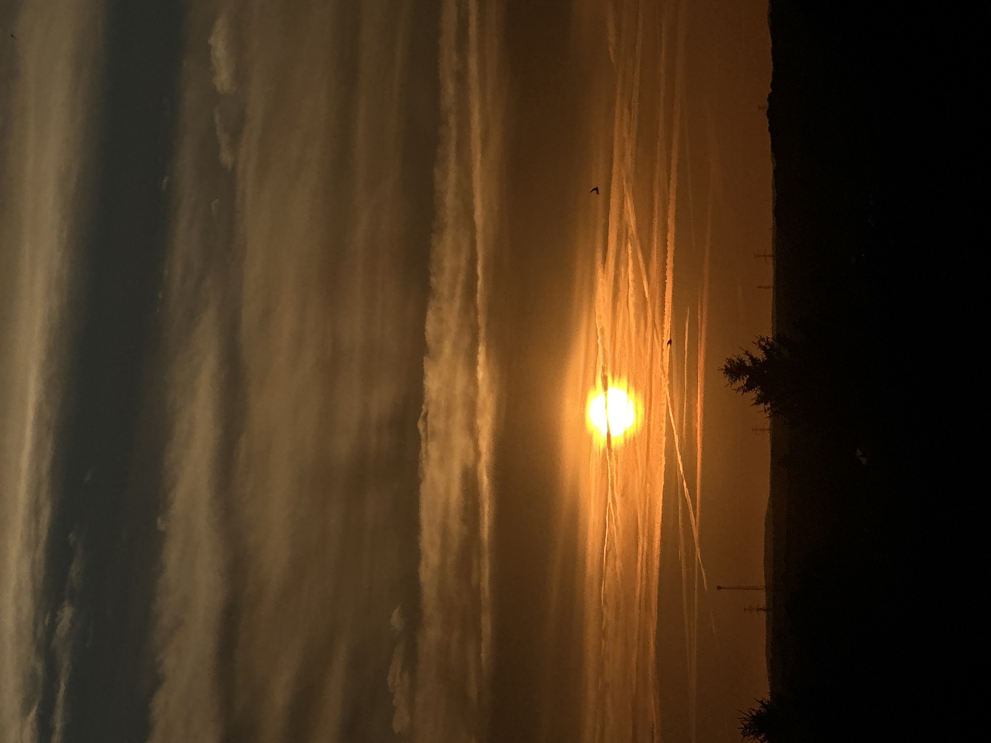 The image depicts a sunset over the city of Świdnica, Poland. The sky is filled with horizontal bands of clouds, with the sun appearing as a bright orange orb near the center. Several contrails from airplanes crisscross the sky. In the foreground, a silhouetted dark landscape features a few trees and a tall structure, possibly a radio tower, in the distance. The overall impression is one of a peaceful evening scene.
