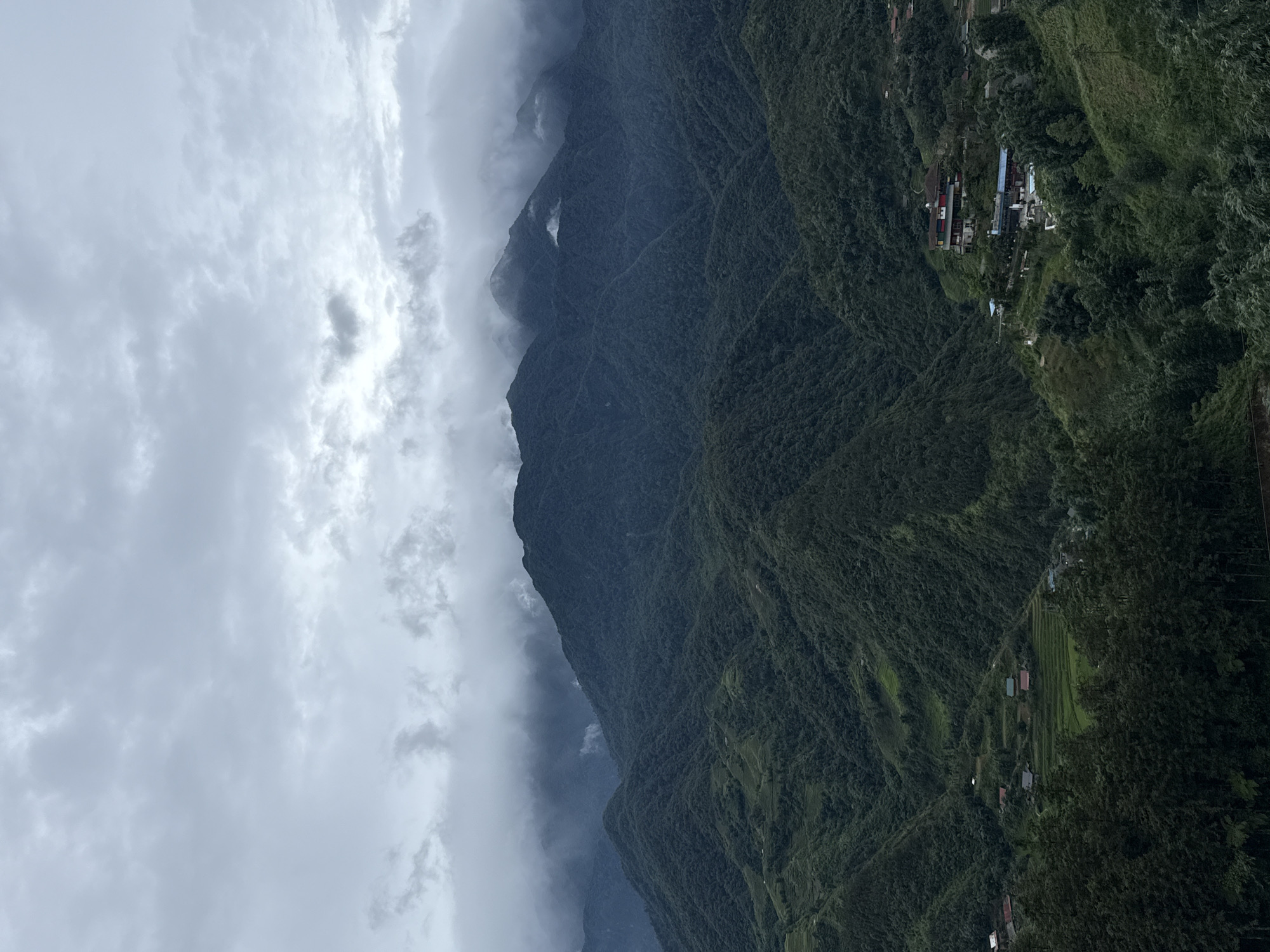 This image captures a panoramic view of the misty mountains and valleys surrounding Sa Pa Ward, Vietnam. In the foreground, dense green trees form a dark border. Beyond them, the landscape descends into a valley dotted with terraced rice paddies and small clusters of houses with red-tiled roofs. The middle ground is dominated by rolling, densely forested mountains, their slopes softened by a thick blanket of clouds and mist that partially obscures their peaks. In the distance, more layers of mountains fade into the hazy atmosphere, with the uppermost peaks almost completely enveloped by the clouds. The sky is overcast with a diffuse, pale light, suggesting a cloudy or early morning atmosphere. There are no visible people or animals.