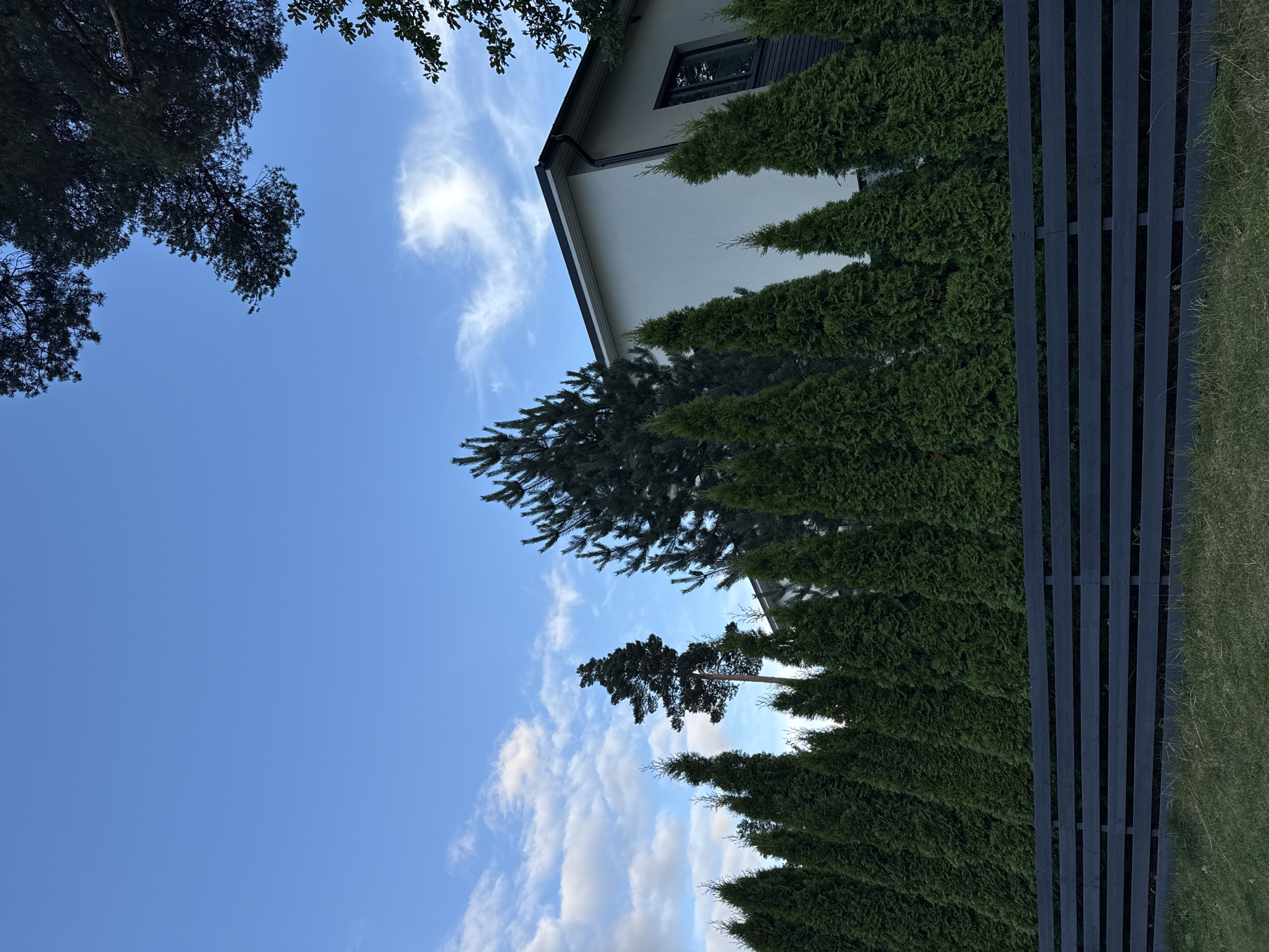The image depicts a residential property in Uuesalu, Estonia, on a clear day with scattered clouds. In the foreground, a dark gray horizontal plank fence runs across the width of the frame, with dry grass and some sparse green vegetation visible beyond it. Behind the fence, a dense row of tall, conical evergreen trees forms a hedge. Peeking above the evergreen hedge are parts of a modern house with a light-colored facade and dark trim, featuring a window. To the left of the house and behind the hedge, a tall, slender pine tree stands out against the blue sky. Other evergreen trees, including a taller pine tree with visible branches and needles, are also present in the scene, contributing to the natural landscape surrounding the property. The overall impression is one of a well-maintained suburban or rural dwelling.