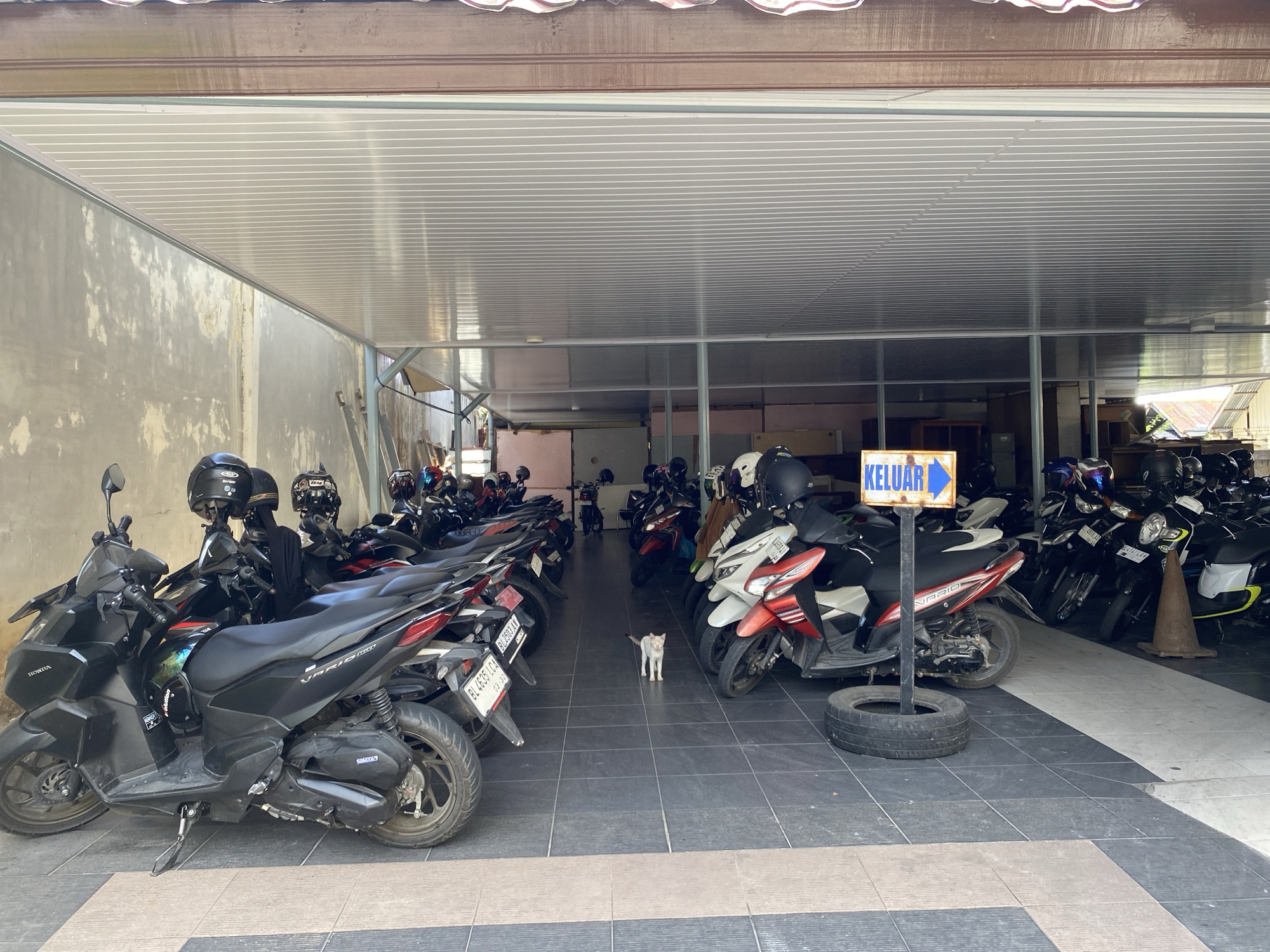 This image depicts an outdoor covered parking area for motorcycles in Banda Aceh, Indonesia. The scene is dominated by a row of parked motorcycles, with several more visible in the background. The floor is tiled in a dark grey and white checkered pattern. A small white cat is standing in the center of the aisle between the motorcycles. To the right, a blue sign with the word "KELUAR" (meaning "Exit" in Malay) and a blue arrow pointing to the right is mounted on a pole. A spare tire is placed at the base of the pole. The environment appears to be a public or commercial space, possibly a parking lot for a building or complex. The lighting suggests it is daytime, with natural light filtering in from the open sides of the covered area.