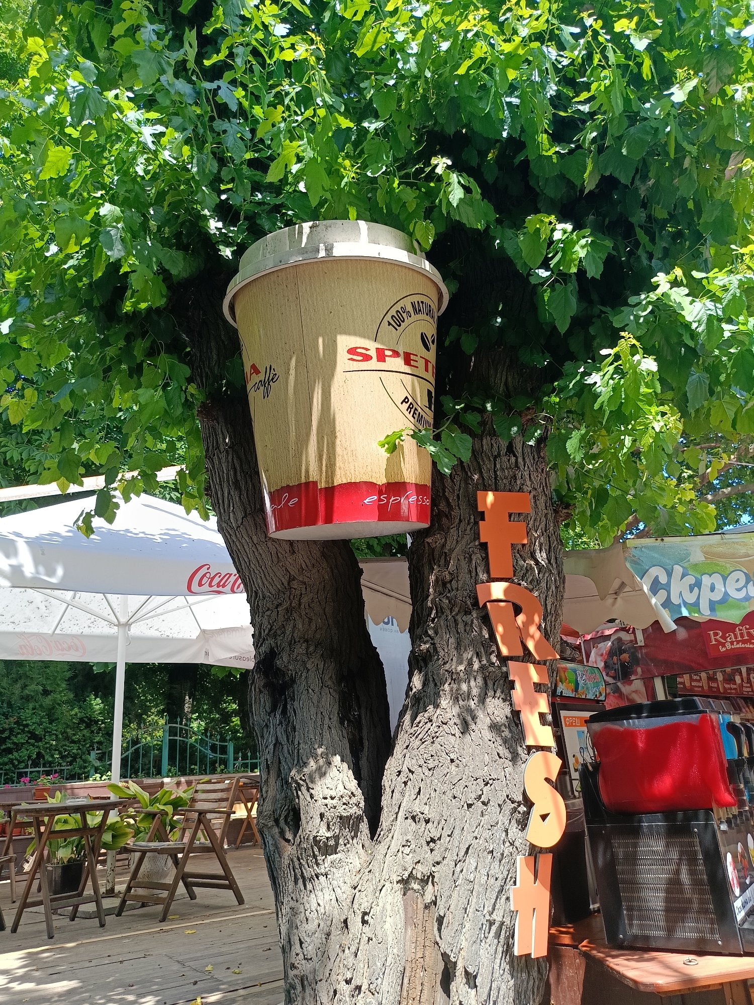 A large, decorative coffee cup is suspended from a tree branch in an outdoor cafe setting. The cup is light brown with red and black lettering that reads "100% NATURAL SPECIAL PREMIU." Below this, it says "espresso." The tree trunk, split into two, supports the branch from which the cup hangs. Orange letters spelling "FRESH" are attached vertically to the tree trunk. In the background, white umbrellas with "Coca-Cola" logos are visible, suggesting a commercial establishment. Wooden tables and chairs are arranged on a wooden deck. A slushy machine with red liquid is positioned on a wooden counter to the right of the tree. This scene is located in Varna, Bulgaria, near the Roman Baths.