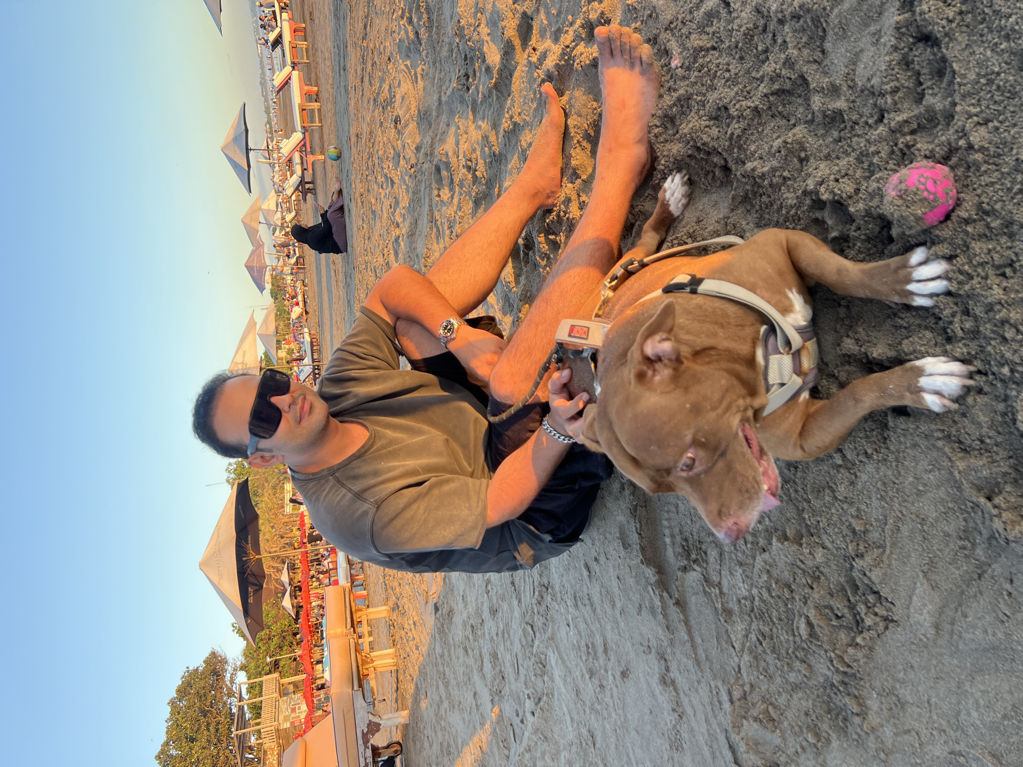 An overhead shot captures a man and a dog relaxing on a sandy beach. The image is oriented sideways, but depicts the subjects lying parallel to the horizon.
The man, wearing dark sunglasses, a dark grey t-shirt, and dark shorts, is lying on his left side with his legs stretched out. He has a watch on his left wrist and a silver chain bracelet on his right. His right hand appears to be holding a leash attached to the dog.
Next to him, a medium-sized, short-haired brown dog, resembling a Pitbull, is also lying on its left side. The dog has distinct white paws and is wearing a light-colored harness, with a visible tag or clip that reads "KONG". Its mouth is slightly open, and its tongue is visible, suggesting it might be panting or relaxed. A pink, somewhat worn toy ball lies in the sand near the dog's head.
The setting is a beach with textured, light brown sand, illuminated by warm, golden light, indicating either late afternoon or early morning. In the background, numerous beach chairs with umbrellas are visible, along with other people enjoying the beach. Some wooden structures and foliage can be seen further back. The sky is clear and blue, particularly in the top left corner. The overall scene conveys a relaxed and leisurely atmosphere in what appears to be a popular beach area, consistent with the location context of Kuta, Indonesia.