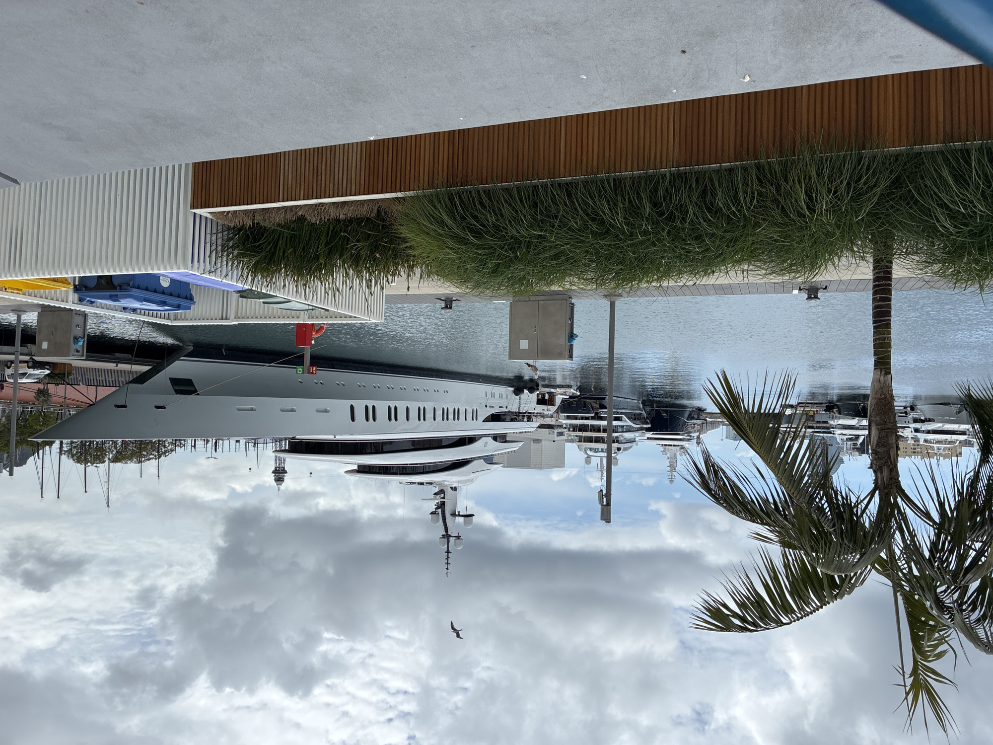 The image shows a large, multi-level white yacht docked in a marina. Several other yachts are visible in the background. A palm tree is positioned on the right side of the frame, obscuring some of the view. Overhead, a cloudy sky is visible. A bird is flying in the sky. The vegetation and architectural elements suggest this location is in a modern port or harbor in Barcelona, Spain. Details like wooden planks and ornamental grasses are apparent along the dock.