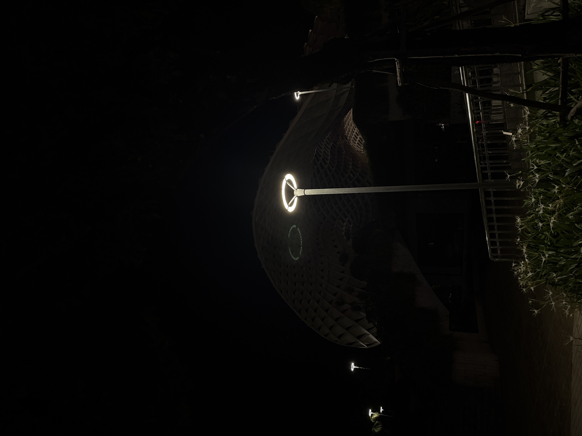 The image shows a modern, umbrella-like structure illuminated by streetlights at night, located in the city of Da Nang, Vietnam. The structure, which appears to be made of interconnected wooden panels, is a prominent feature in the scene, casting a warm glow from the lights integrated into its design. Several modern, cylindrical streetlights with circular lamps are positioned around the area, one of which is in the foreground and another is visible further back, providing illumination to the paved pathway and surrounding greenery.
In the foreground, a cluster of white, star-shaped flowers with prominent stamens is growing, adding a touch of natural beauty to the otherwise architectural and urban setting. A metal railing with vertical supports is visible behind the flowers, suggesting a walkway or elevated area. To the right, the dark silhouette of a tree trunk with visible support stakes stands tall. The background is dark, indicating nighttime, with subtle hints of more structures and lights in the distance. The overall ambiance is serene and contemporary, highlighting the interplay of light and shadow on the architectural marvel and its surroundings.