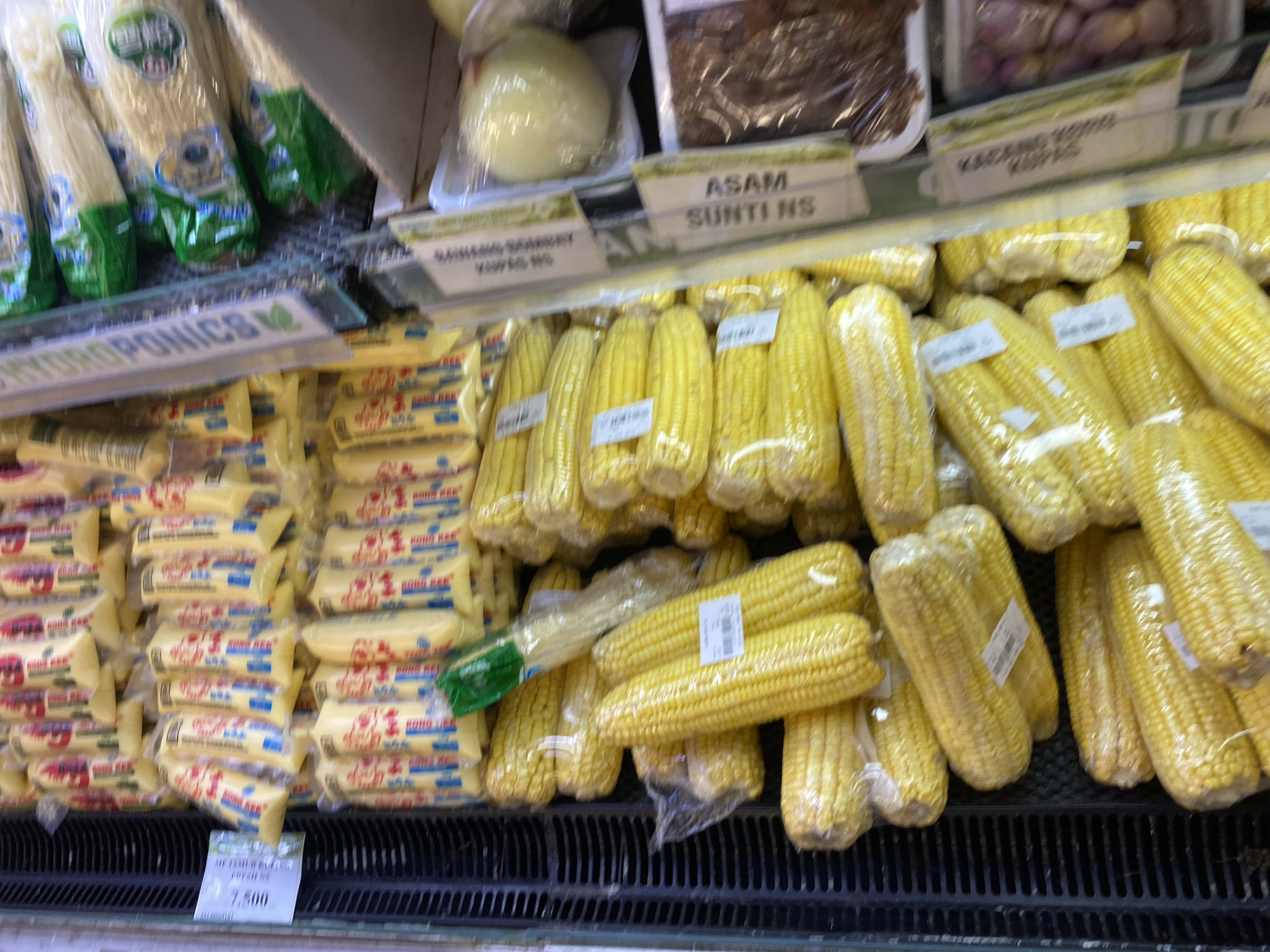 This is a medium shot, eye-level, slightly blurry, indoor photograph of a grocery store display. The scene is dominated by rows of yellow corn on the cob, most of which are individually wrapped in clear plastic. Some of the corn has price tags or labels attached.
Below the corn, there are stacks of yellow packaged goods, possibly butter or margarine, with red lettering visible on the packaging. In the background, there are shelves with more produce, including what appears to be onions in plastic packaging and possibly dried goods in clear bags. A sign with the word "HYDROPONICS" is visible on a silver shelf in the upper left corner. Another sign in the upper middle reads "ASAM SUNTI NS."
The lighting is artificial, typical of a retail environment. The overall impression is of a well-stocked produce and grocery aisle.
While the image is taken in a grocery store, there are no specific visual cues within the image itself to pinpoint its exact location within Banda Aceh, Indonesia. However, given the context of such grocery displays, it is likely within a supermarket or a larger local market in the city.
