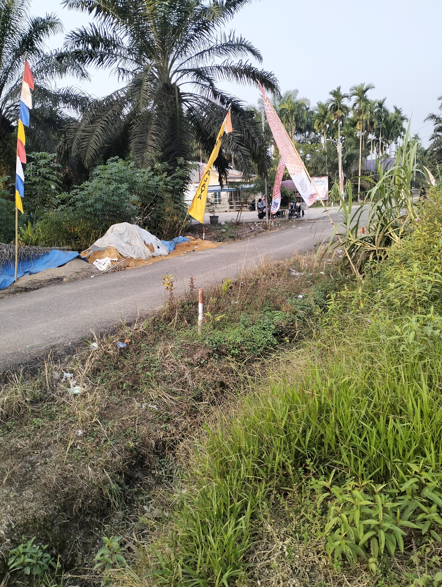 An outdoor scene depicts a road in Mandala Jaya, Indonesia, with several objects and elements. Tall palm trees and a stand of smaller palm trees are visible in the background. Two flags are present: a tri-colored flag (red, white, blue, yellow) on the left, and a yellow flag with text on the right. A large, light-colored tarp covers a mound of dirt on the side of the road, with blue tarps underneath. In the middle ground, a few motorcycles and people are gathered near a building with a sign. Sugarcane-like plants and other green vegetation are prominent in the foreground and along the roadside. The ground is a mix of grass, dry vegetation, and some scattered debris. The sky is overcast.