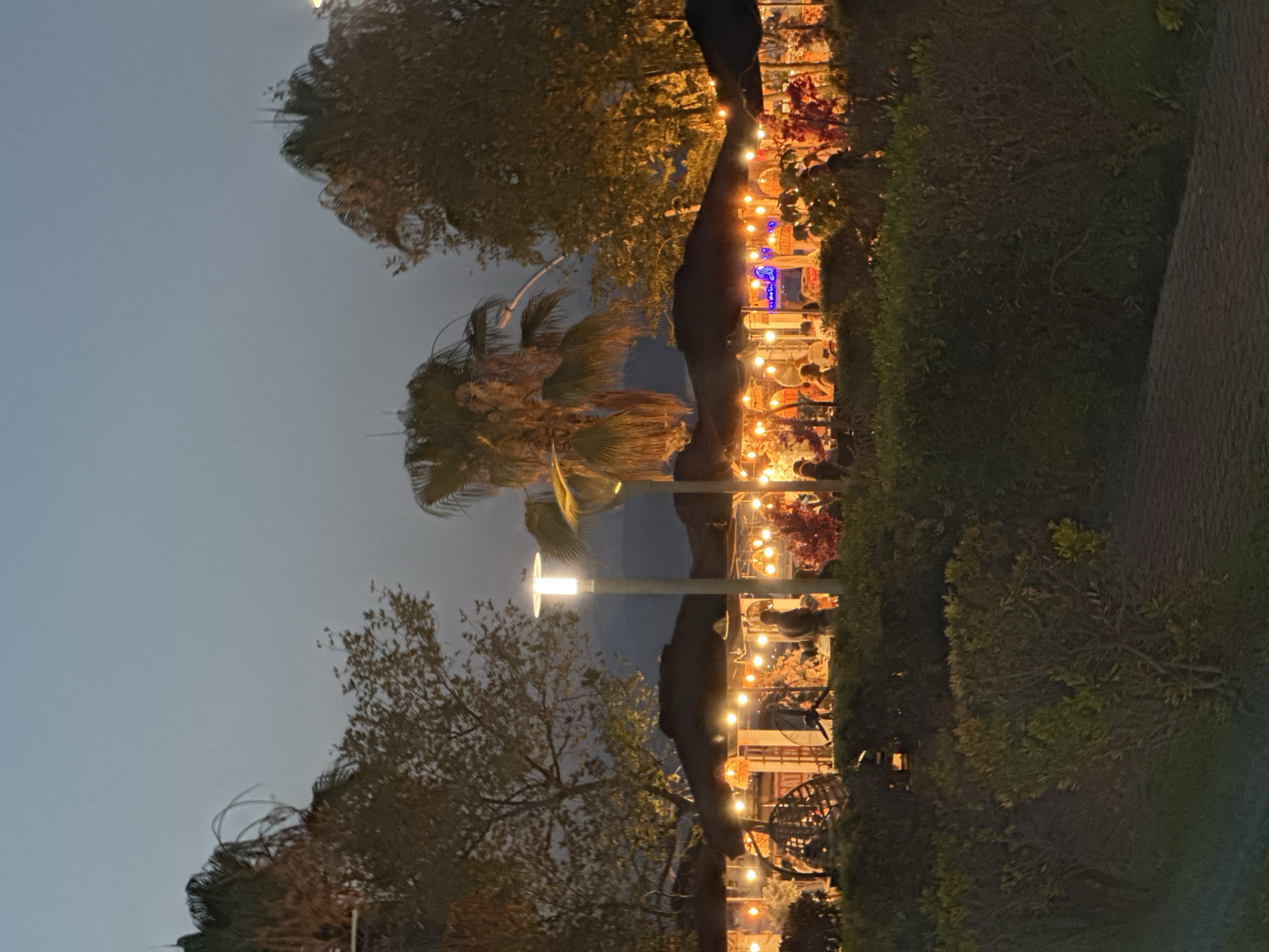 The image depicts an outdoor dining scene at dusk, likely in Fethiye, Turkey. The setting is illuminated by strings of warm, fairy lights that drape over tables and trees, creating a festive and inviting atmosphere. People are seated at tables, suggesting they are dining or socializing. The presence of palm trees and lush green bushes indicates a warm climate and a potentially coastal or garden-like environment. In the background, distant mountains are faintly visible, silhouetted against the fading light of the sky. The overall mood is relaxed and convivial, with the soft glow of the lights contributing to a sense of warmth and evening enjoyment. The time of day is clearly evening, with the sky showing a transition from daylight to twilight. There are no discernible text elements within the image.