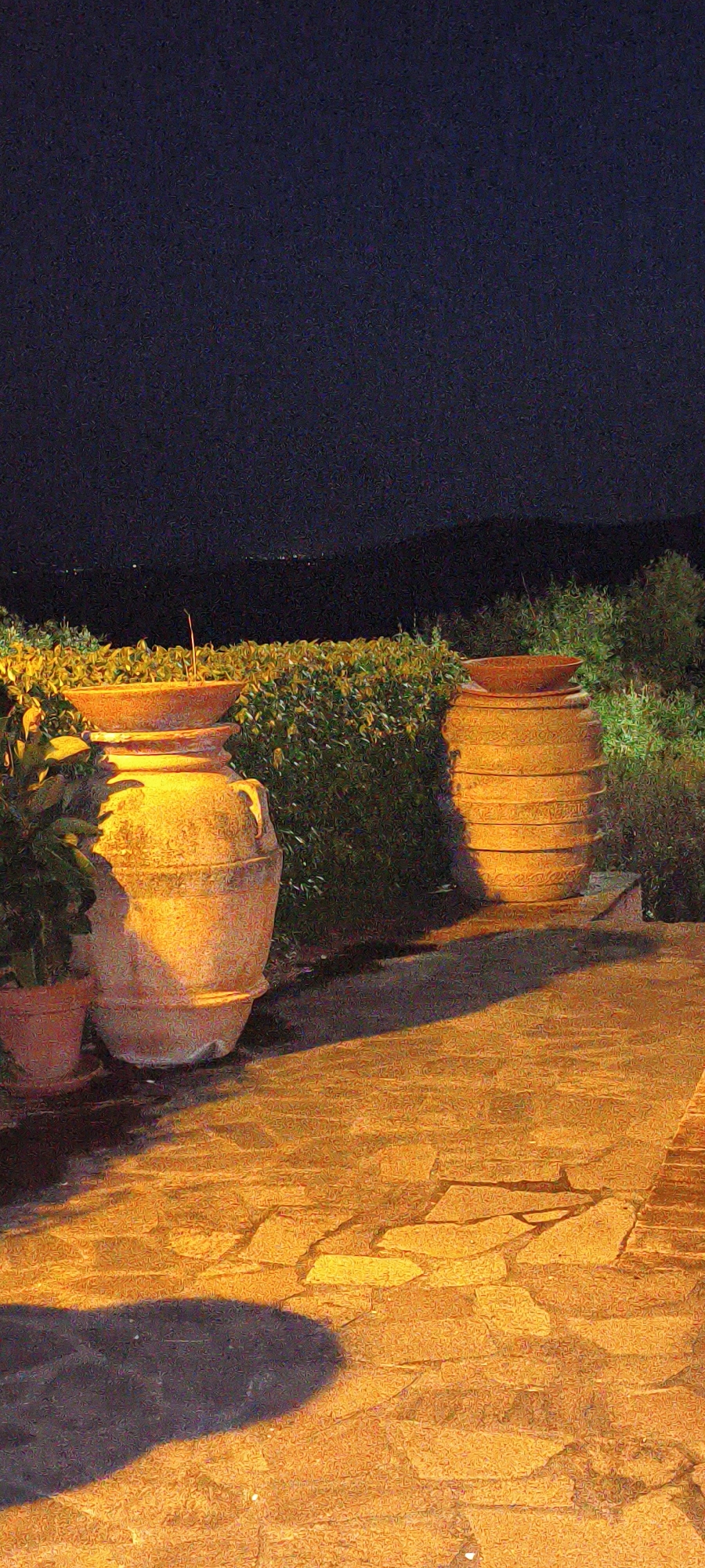 In Campagnatico, Italy, at night, a stone-paved patio is illuminated by warm artificial light, casting long shadows. Two large, terracotta amphorae stand prominently on the patio. The amphora on the left is larger and features handles. Both are filled with greenery, and the one on the right has a single thin stick protruding from its contents. Behind the amphorae, a dense, low-lying hedge runs horizontally across the frame, its leaves illuminated by the same warm light. Beyond the hedge, the dark silhouette of hills is visible against a faintly lit night sky, with distant, scattered lights suggesting the presence of a town or village.