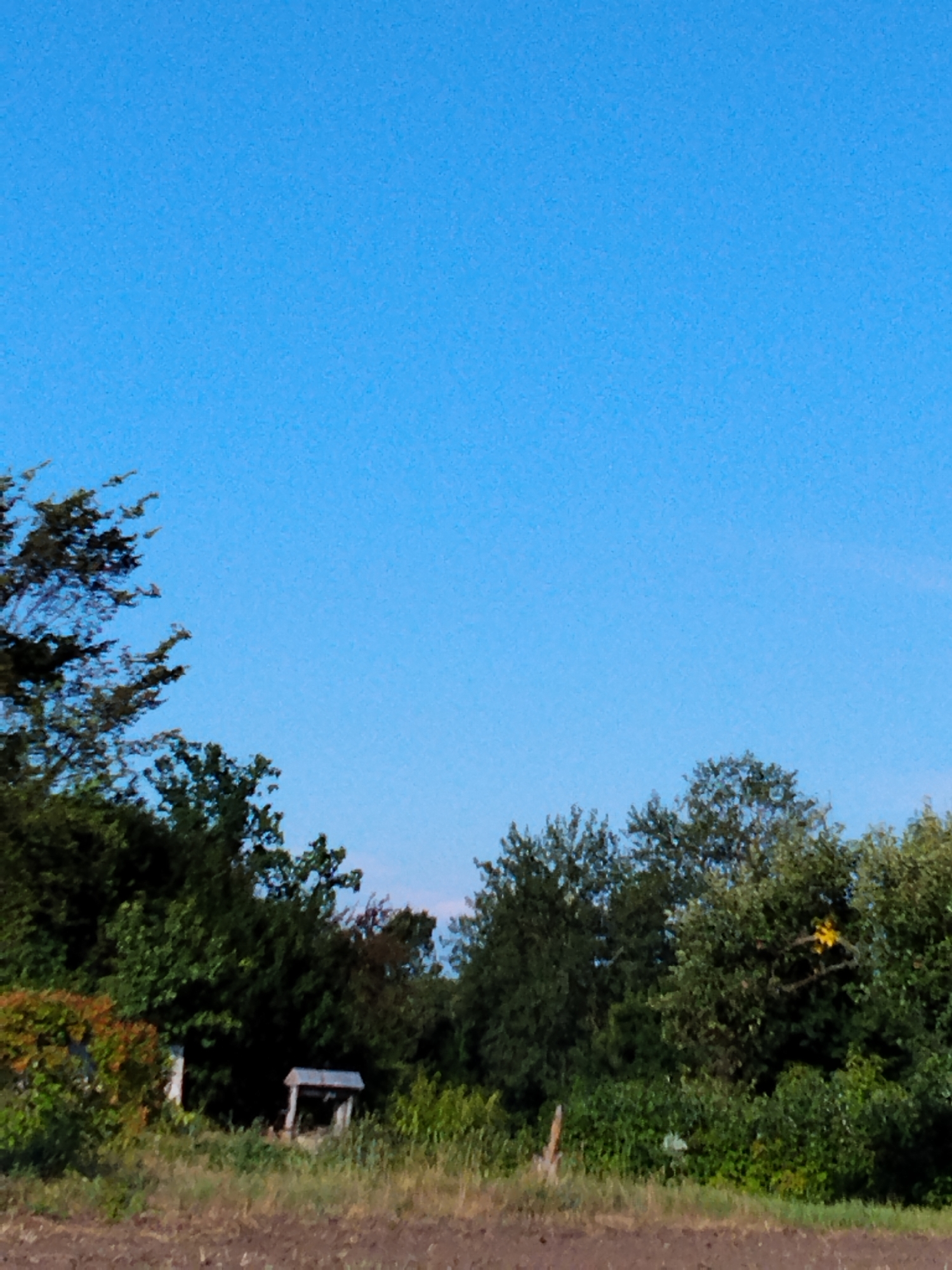 The image depicts an outdoor scene with a clear blue sky dominating the upper portion. In the lower part of the image, a dense line of trees and vegetation stretches across the frame. Among the greenery, a weathered, grey, wooden structure resembling a wellhead or an old planter box is visible. The ground in the foreground is a mixture of soil and grass, appearing somewhat unkempt. The overall impression is of a rural or semi-rural setting, possibly on the outskirts of Ustyvytsia, Ukraine, given the context of the query. No people or animals are present in the image.