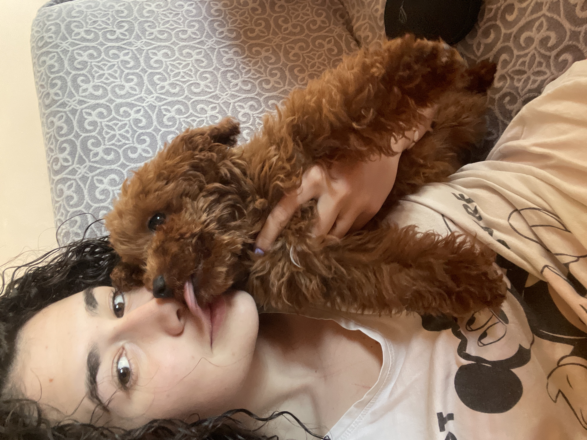 A woman with curly, dark hair is lying on her back on a patterned gray cushion. She is wearing a white T-shirt with a cartoon design. A small, brown poodle is lying on her chest, licking her nose. A hand, presumably the woman's, is holding the dog. The location is difficult to discern and the image does not provide enough information to determine if it is in Sofia, Bulgaria.