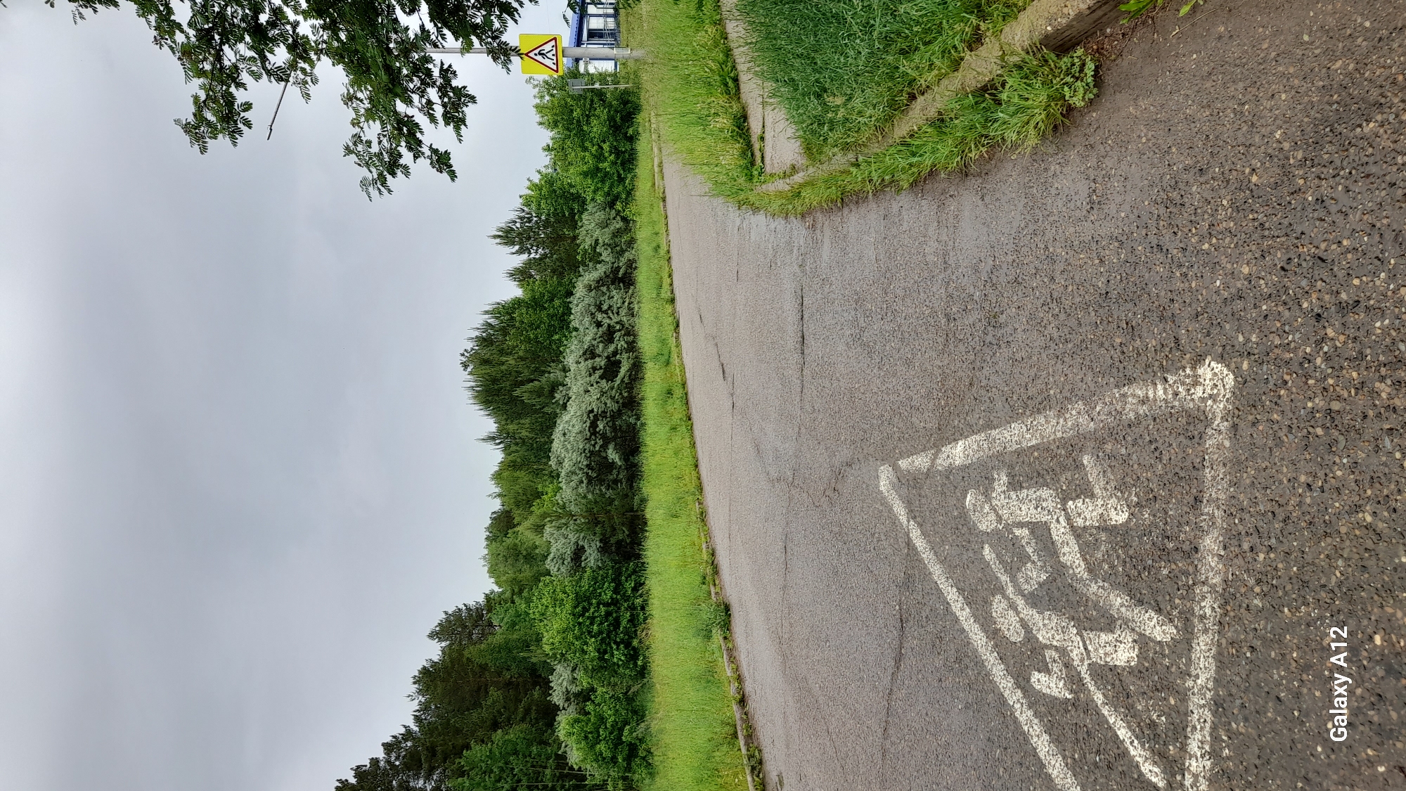 This image, captured in Markovskii, Russia, presents a scene along a wet, paved road under an overcast sky. The view is angled downwards, looking along the road which appears dark grey with a visible pebbled texture, indicating recent rain. A clear white road marking is visible in the lower right foreground: a triangular outline containing two stylized figures, an adult and a child, signifying a "Children Crossing" or "School Zone."
To the left of the road, a vibrant green grassy verge separates the asphalt from a dense line of trees and bushes with varied green foliage. Further down the road, a yellow diamond-shaped sign with black figures of an adult and child, identical to the road marking, is visible mounted on a blue structure, likely a public shelter or bus stop. Overhanging green tree branches are also partially visible in the upper left portion of the frame. The sky is a uniform, light grey, indicating cloudy weather. No people or vehicles are present, contributing to a serene atmosphere. A "Galaxy A12" watermark is present in the bottom right corner.