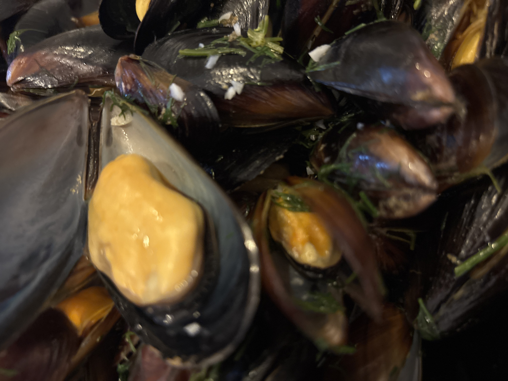 A close-up, eye-level, indoor shot showcases a pile of cooked mussels, some of which are open, revealing their orange flesh. The mussels are garnished with finely chopped green herbs and white pieces, likely garlic. The shells are a mix of dark blue and brown, with a glossy sheen. The lighting is dim, creating a warm, inviting atmosphere. The background is dark and out of focus, emphasizing the mussels as the main subject. The image is composed of multiple mussels, overlapping and filling the frame.