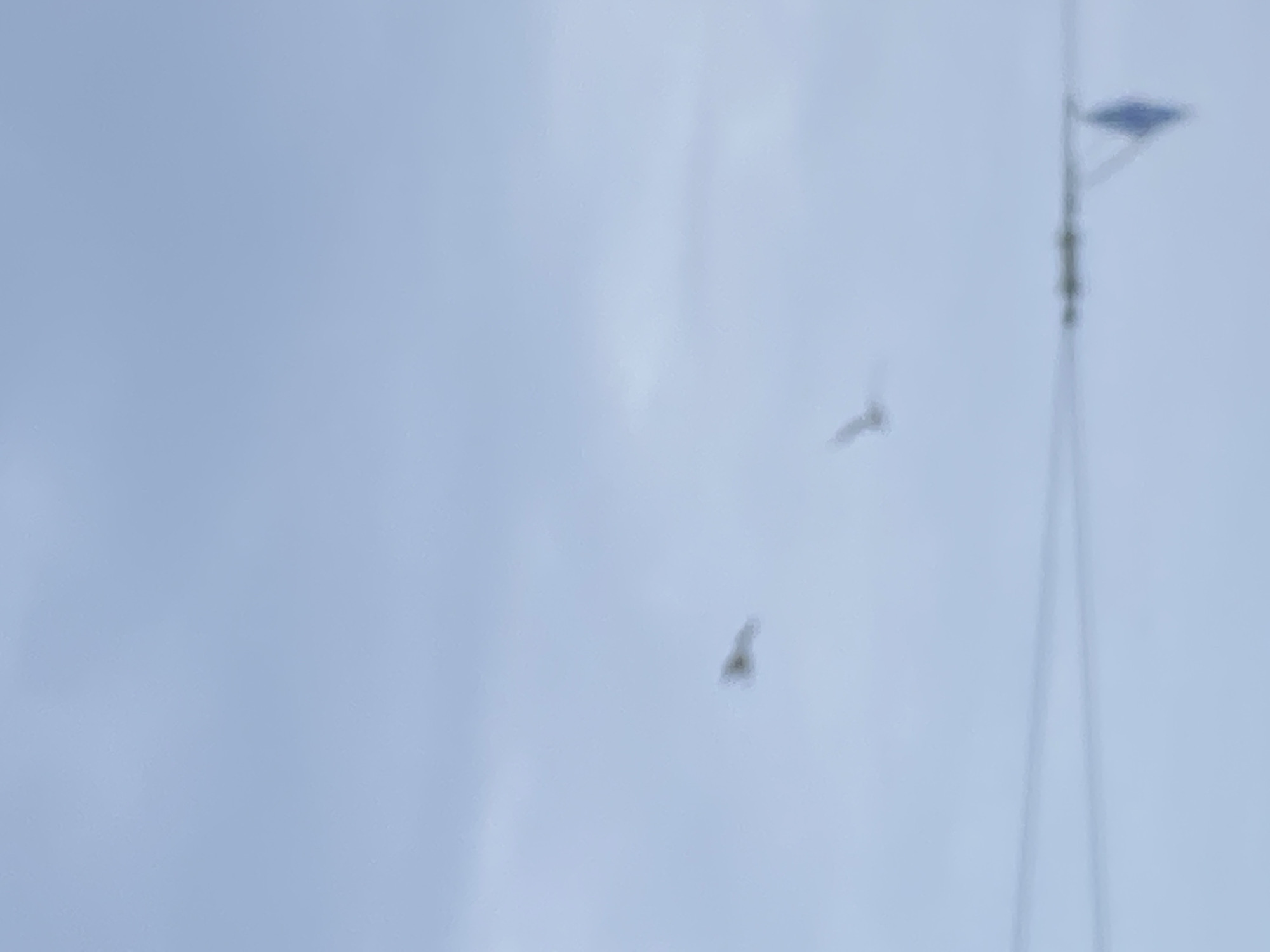 The image shows a blurred view of a light blue sky. Two dark objects are visible, possibly birds, one slightly above and to the left of the other. A blurred street lamp is on the right side of the image, suggesting an urban environment. The location of Varna, Bulgaria, is not determinable from the image.