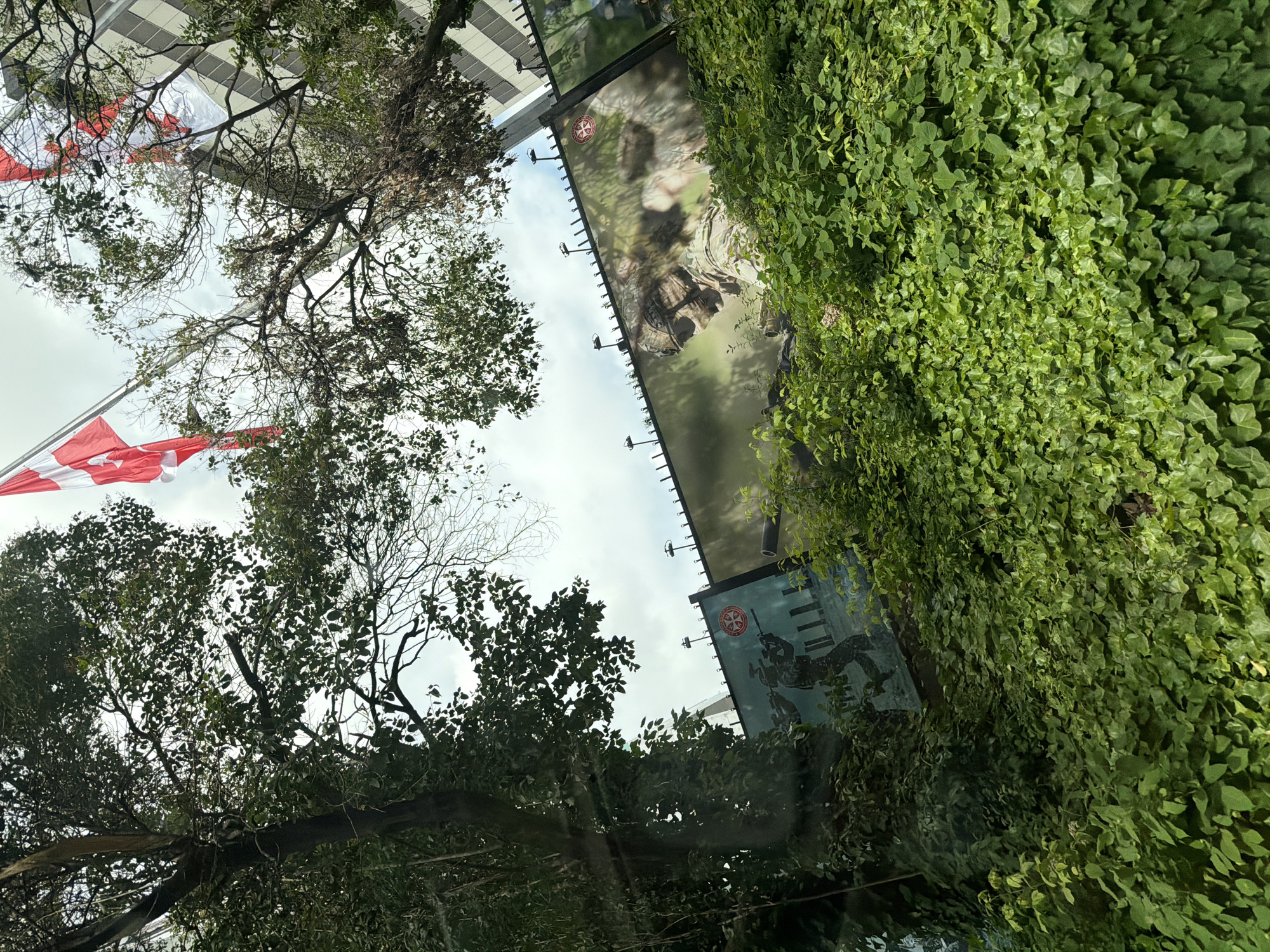 The image shows an upward view in Tbilisi, Georgia, capturing Canadian flags fluttering against a partly cloudy sky, framed by tree branches and foliage. A building is visible, partially covered in green ivy, with large advertising panels displaying military-themed imagery and the mark of the Georgian Defence Forces.