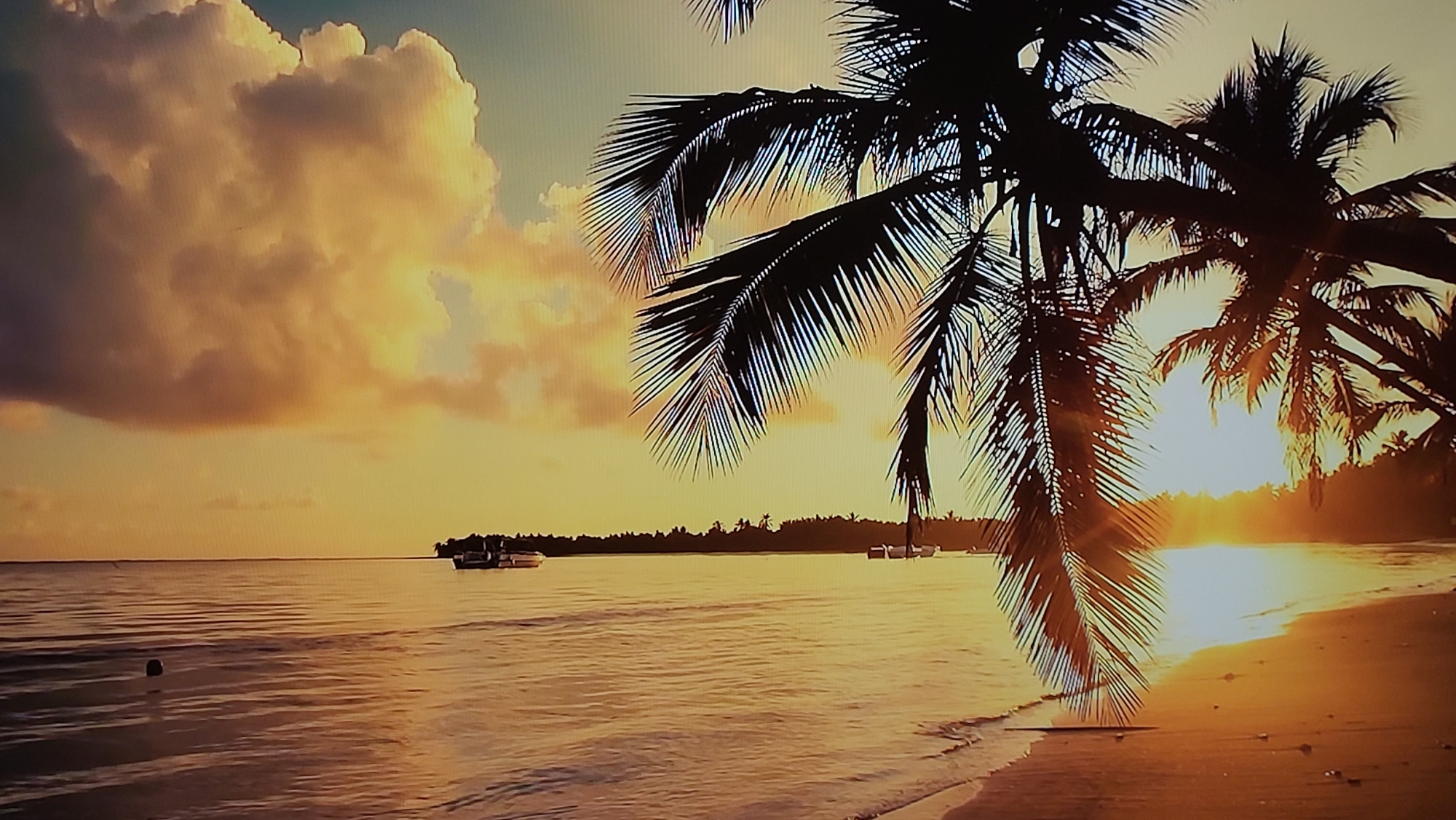The image depicts a tropical beach scene at sunset. Silhouetted palm trees frame the view, with the sun setting on the horizon. The sky is filled with warm tones of orange and yellow, reflected in the calm water. A boat is visible in the distance. There are no indications the scene is in Yerevan, Armenia.