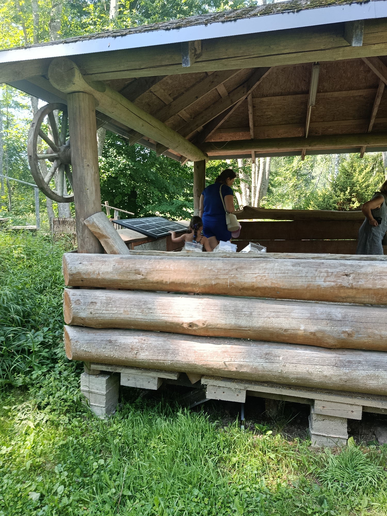 This image depicts a rustic, open-air wooden structure located outdoors in Upeslejas, Latvia. The structure is built primarily from large, rough-hewn logs. A wooden wagon wheel is visible, affixed to a vertical log post on the left side of the structure. The roof is covered with what appears to be dark material, possibly asphalt shingles, with some moss visible. Underneath the roof, the supporting wooden beams and roof decking are exposed.
Inside the structure, several people are present. On the left, a woman wearing a blue top and shorts stands facing away from the camera, carrying a light-colored bag over her shoulder. Partially obscured by her, a child is seated. To the right, another woman, wearing a grey dress, stands facing towards the left of the frame, her back to the camera. A solar panel is visible on a raised surface within the structure, suggesting it might be a pavilion or information point.
The structure is surrounded by lush green vegetation, including tall grass and trees, indicating a natural or park-like setting. The foreground is dominated by dense grass. The ground beneath the structure is also covered in grass and some visible dirt. The overall impression is of a simple, natural, and functional structure in a rural or semi-rural environment within Upeslejas, Latvia.