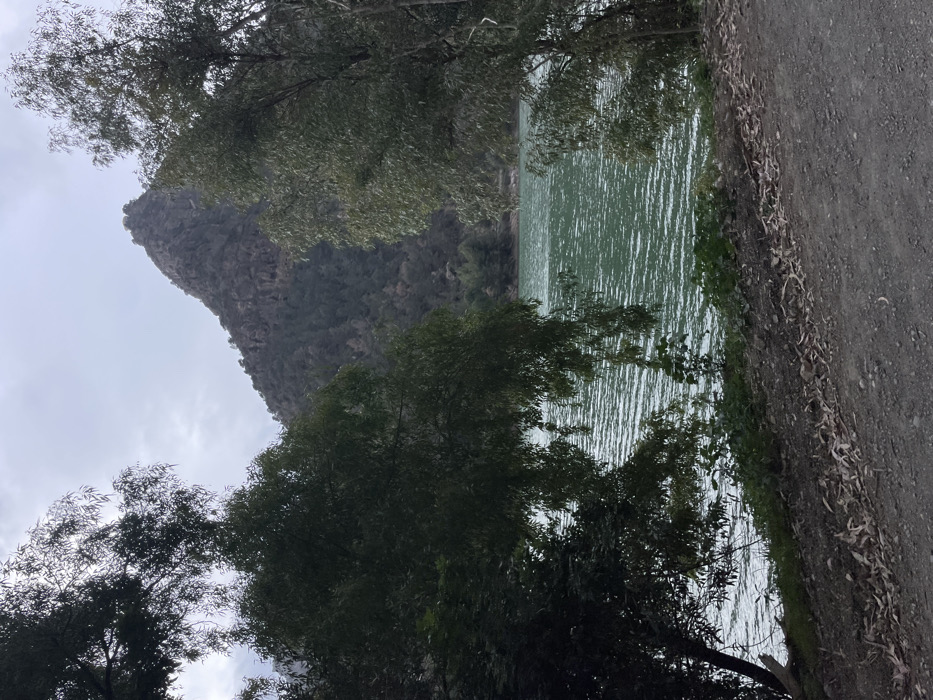 The image captures a serene natural landscape featuring a lake or reservoir framed by rugged mountains and trees under an overcast sky. In the foreground, a dark, unpaved path or dirt road runs along the right side, bordered by scattered dry leaves and brush. Lush, dark green trees with varied foliage extend into the frame from the foreground, partially obscuring the view of the water and mountains. The midground is dominated by a body of water, its surface showing distinct ripples and reflecting the diffused light, giving it a greenish-blue appearance. In the background, a large, imposing mountain or rocky outcrop rises steeply, its textured, craggy face and patches of vegetation visible beneath the cloud-covered sky. The sky is uniformly grey and overcast, suggesting a cloudy day or soft light conditions. No people or specific activities are depicted, emphasizing the tranquil and untouched quality of the natural environment. The scene evokes a sense of peaceful solitude amidst impressive natural formations.