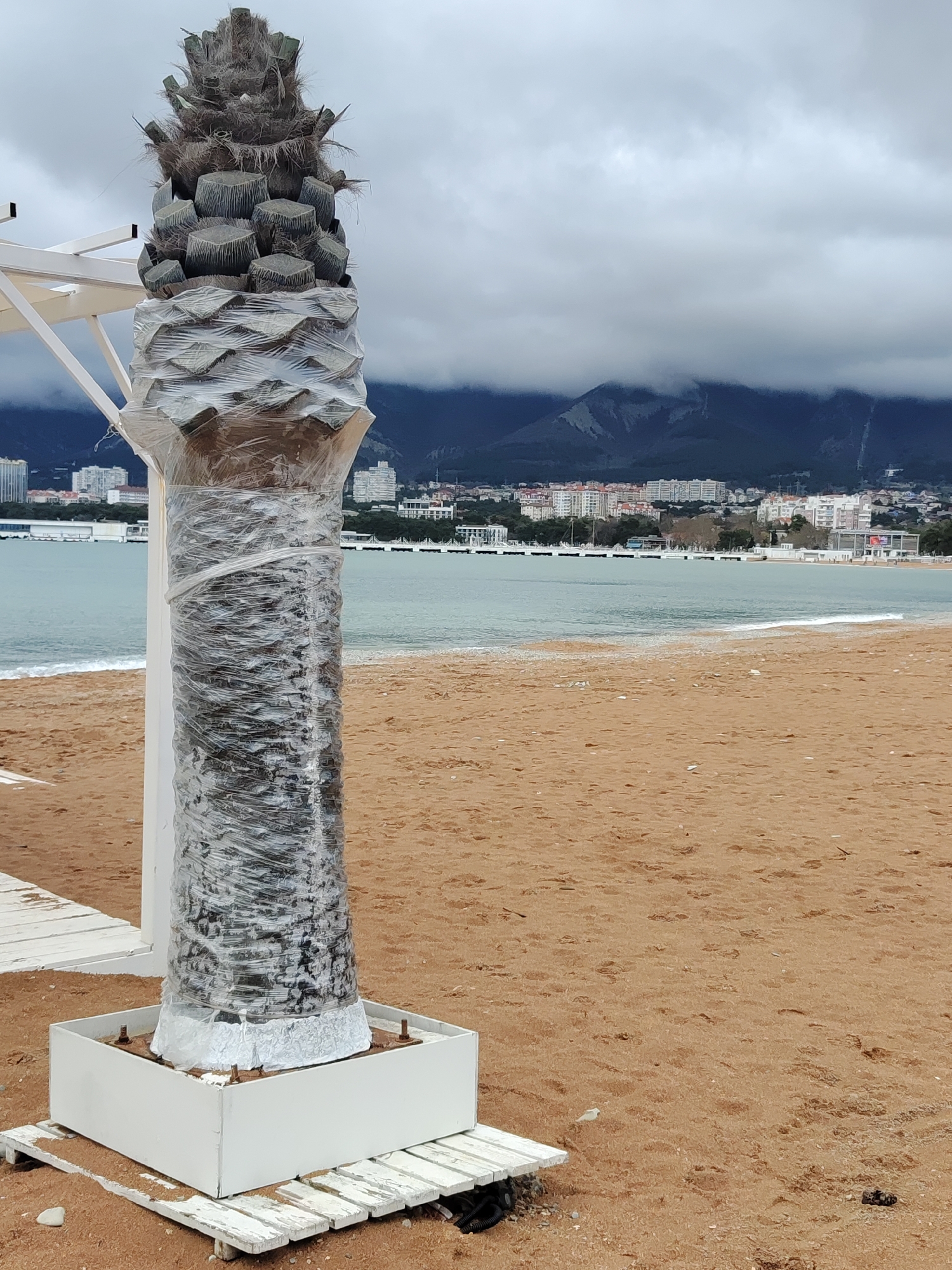 The photograph depicts a palm tree wrapped in plastic on a beach in Gelendzhik, Russia. The tree stands on a platform and is next to a structure with white beams. In the background are buildings, the ocean, and mountains covered in clouds. The beach is sandy. There are no people visible in the scene.