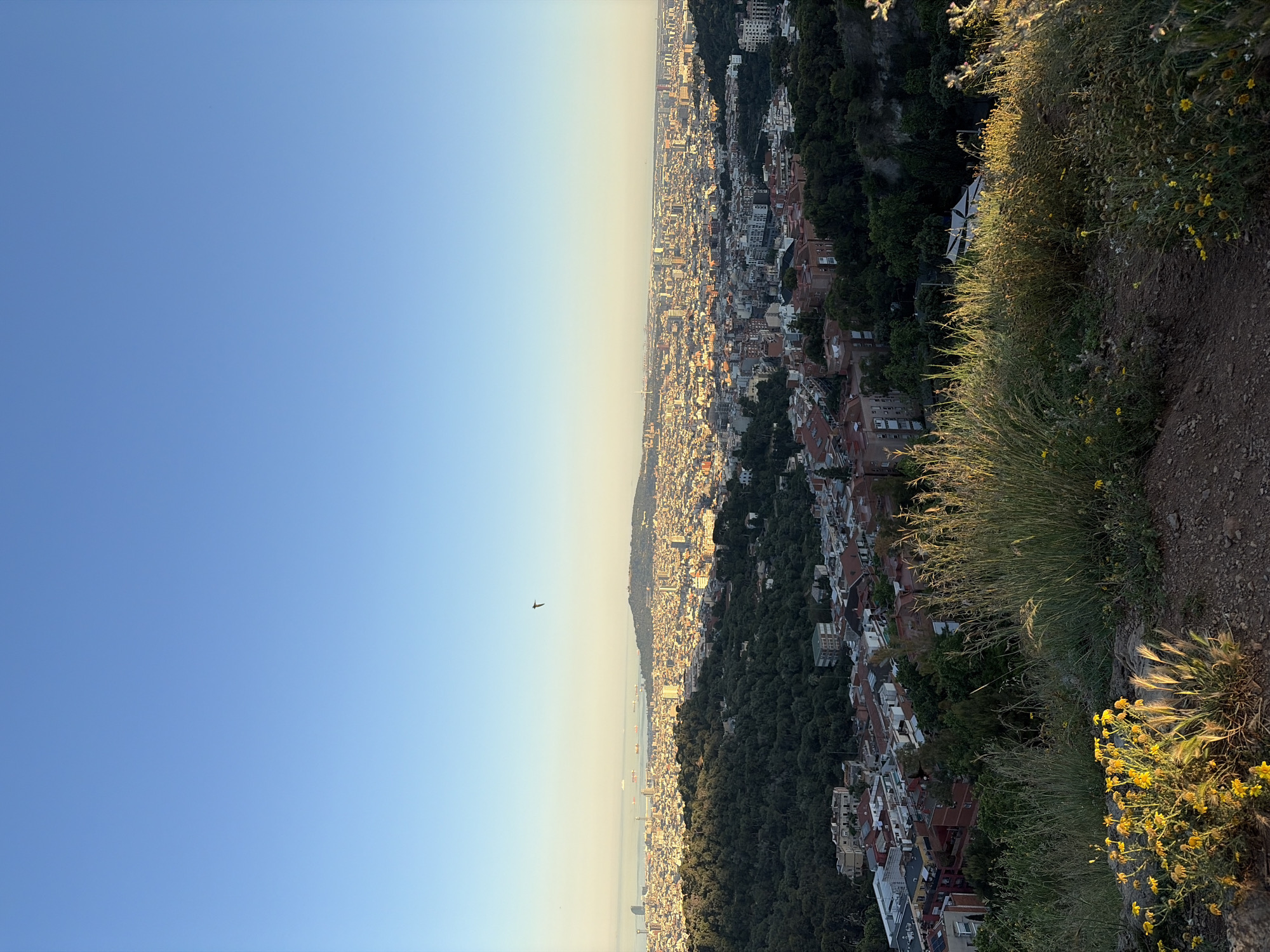 The image shows a view of Barcelona, Spain, from an elevated vantage point. The cityscape stretches along the coast with buildings and trees. To the right is vegetation on a hillside. The sky is clear and blue. A small aircraft is visible in the sky.