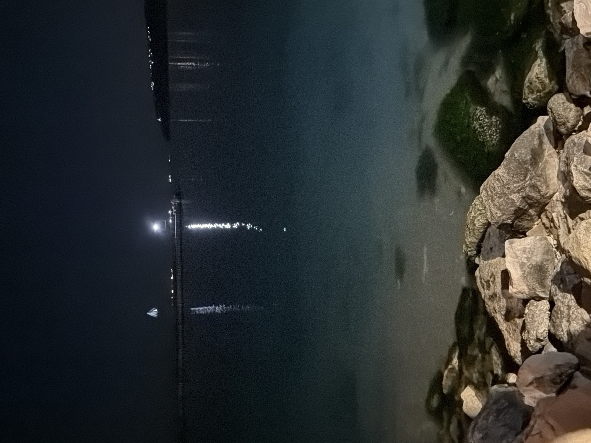 The image shows a nighttime view of the Black Sea from the coast of Varna, Bulgaria. The dark water reflects the lights of the city skyline in the distance and the moon or a bright light source. The foreground features rocks and concrete breakwaters along the shoreline, some covered in algae. There are no people visible.