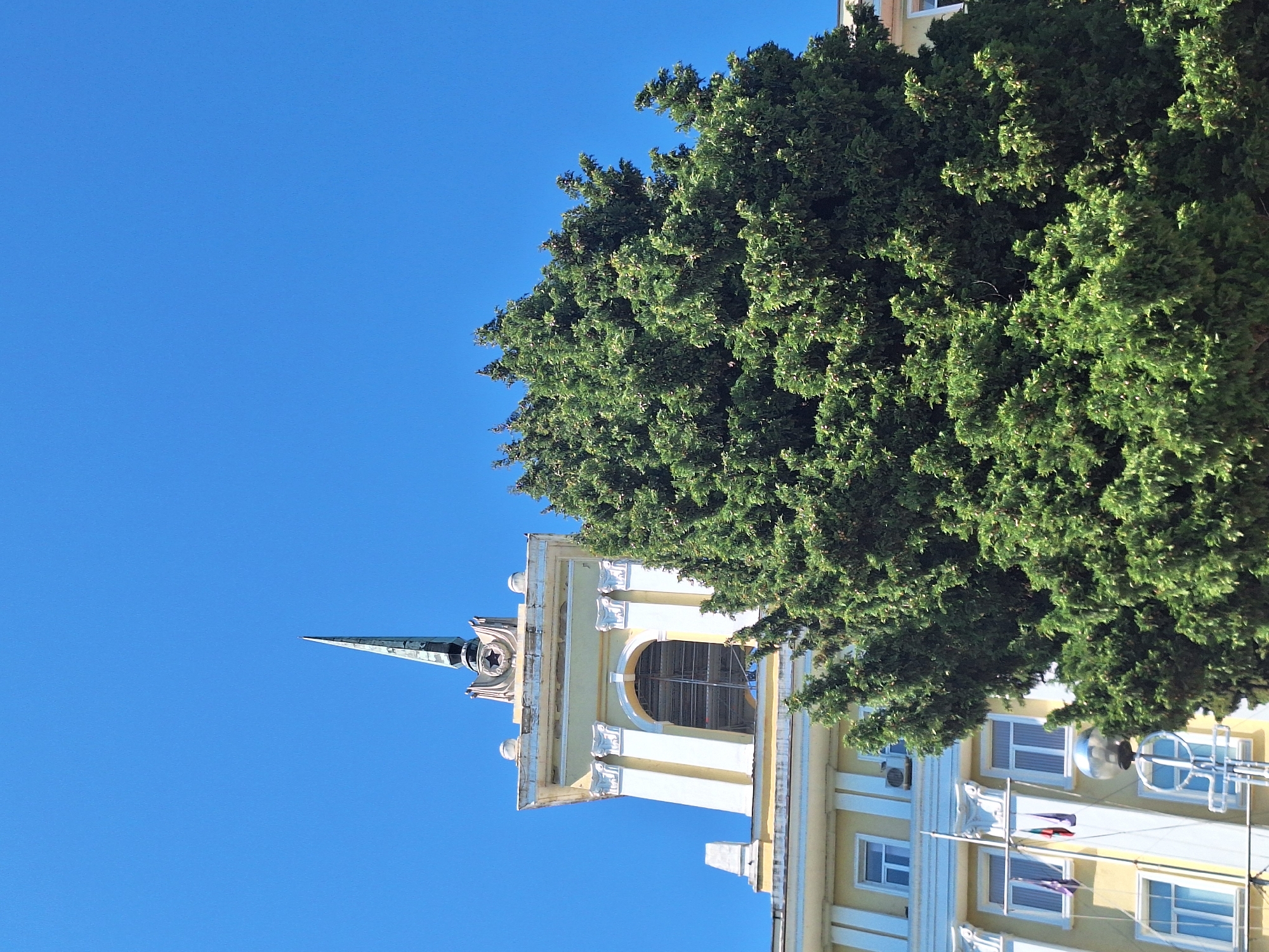 The image captures a building with a prominent tower, partially obscured by a large, dense green tree. The tower features classical architectural elements, including columns and an arched window, and is topped with a pointed spire. A star emblem is visible on the tower's facade. The building itself is pale yellow with white trim and numerous windows. Several flags are displayed on a flagpole in front of the building. The sky is a clear, bright blue. This scene is located in the city of Varna, Bulgaria, specifically in front of the Presidium of the Bulgarian Academy of Sciences, formerly the Varna Town Hall. There are no people visible in the image.