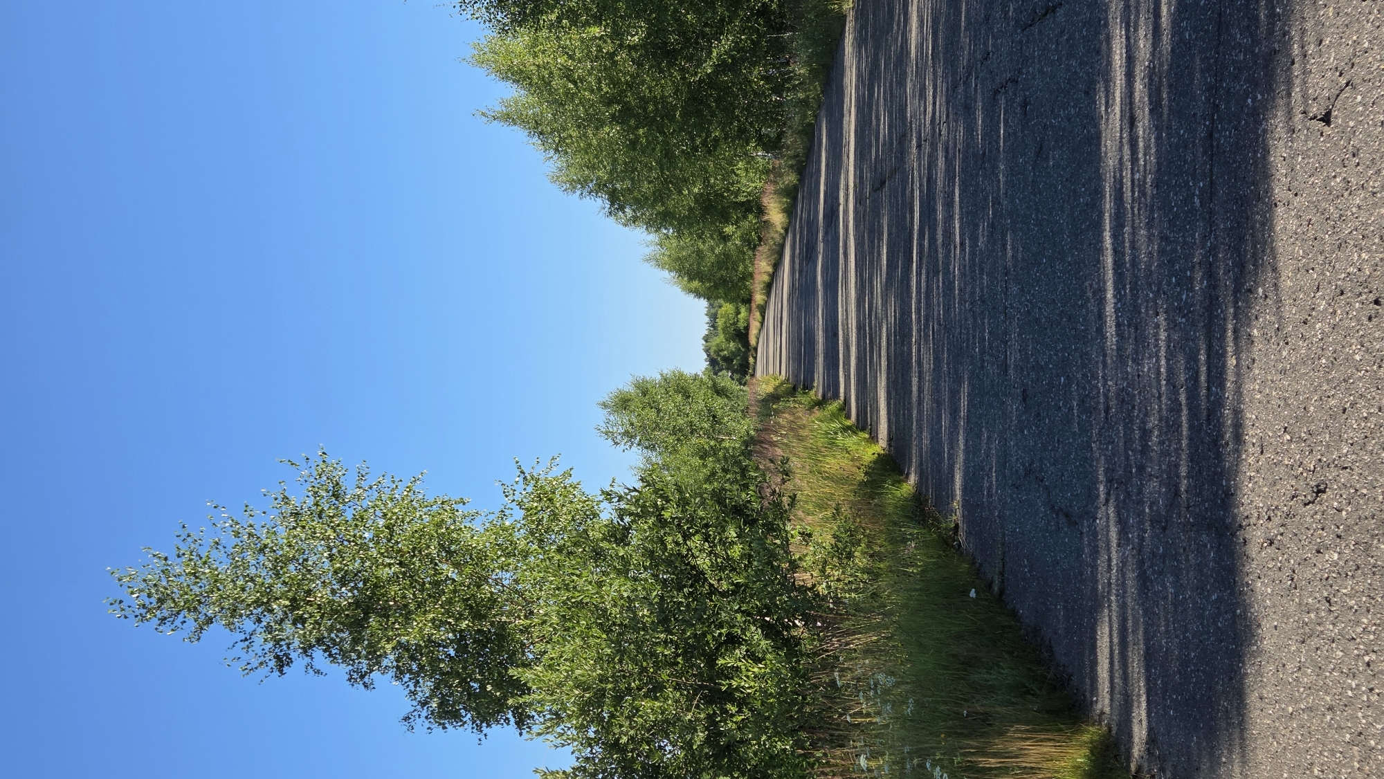 An eye-level shot captures an empty, narrow asphalt road stretching into the distance under a clear blue sky. The road is flanked on both sides by lush green trees and tall grass, casting dappled shadows across the pavement. The trees are densely packed, creating a tunnel-like effect as the road recedes. The sun appears to be high in the sky, suggesting it is midday. The scene is devoid of any people or vehicles, creating a sense of solitude and natural beauty. The location is the city of Zarubino, Russia.