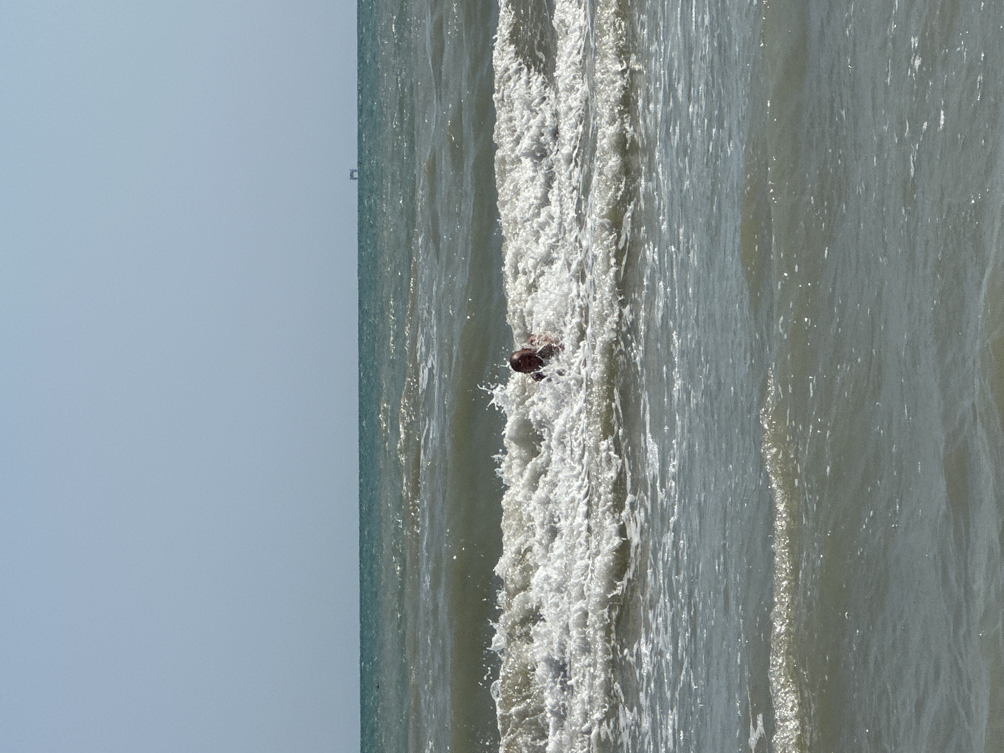 The image shows a person swimming in the ocean. The water is choppy with visible waves and foam. In the background, there is a clear sky and a distant structure that appears to be an oil rig or platform on the horizon. The person is partially submerged, with their head and shoulders visible above the water. The scene is set at sea, likely in an area with moderate waves. The location is not specified within the city of Pineto, Italy.