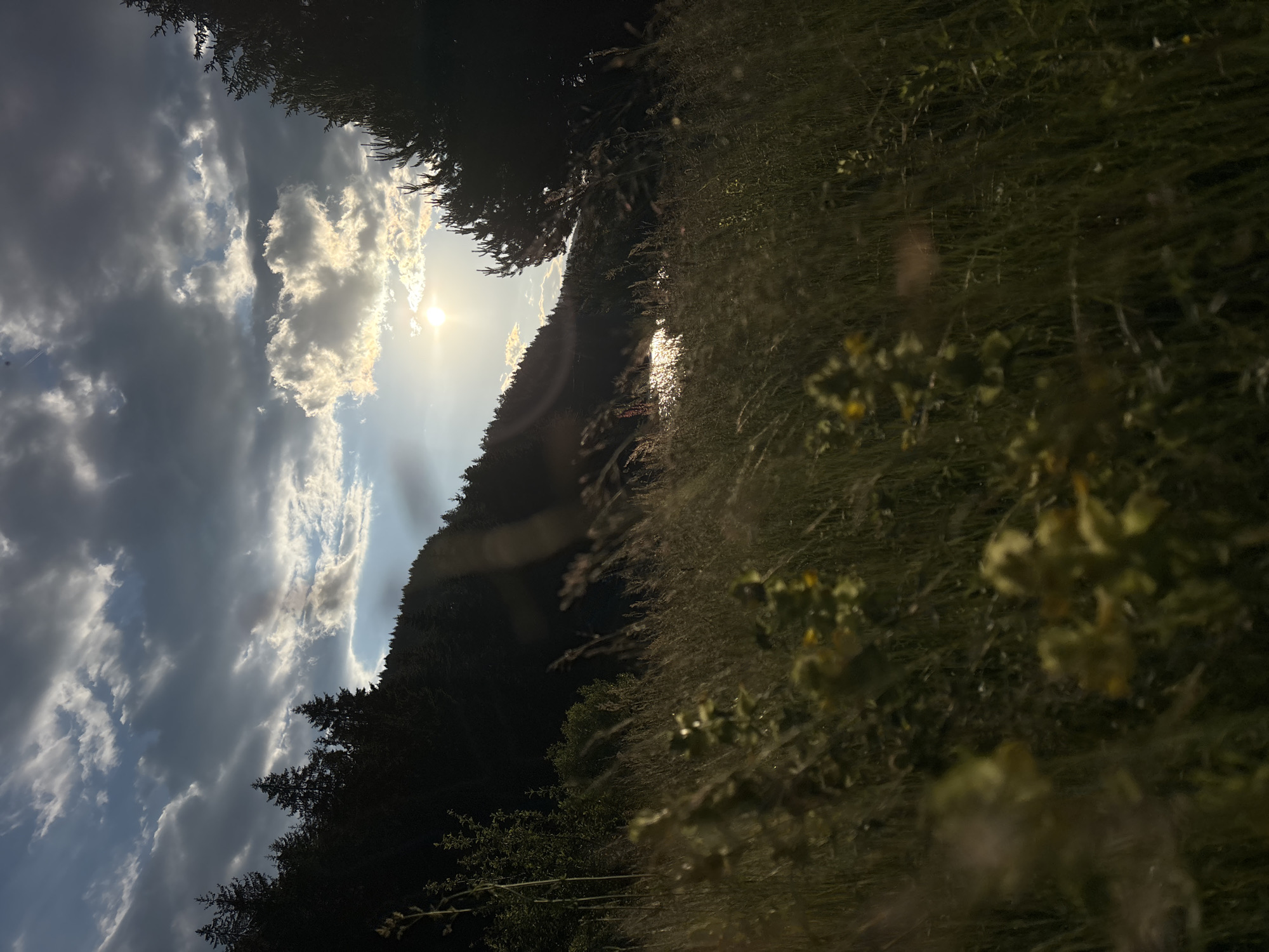 The image depicts a serene landscape with a focus on the interplay of light and shadow. Tall, dark green trees form a dense silhouette along the left side of the image, climbing a gentle slope. The sky above is a dramatic mix of dark, heavy clouds and patches of bright blue, with the sun shining through in the upper right quadrant, casting a warm glow. A sliver of a body of water, possibly a lake or river, is visible in the middle ground, reflecting the sunlight. The foreground is filled with tall, dry grass and some blurry yellow wildflowers, creating a sense of depth and texture. The overall mood is peaceful and natural, with a hint of drama from the dynamic sky. The location is described as Unknown, Unknown within the city of Unknown.