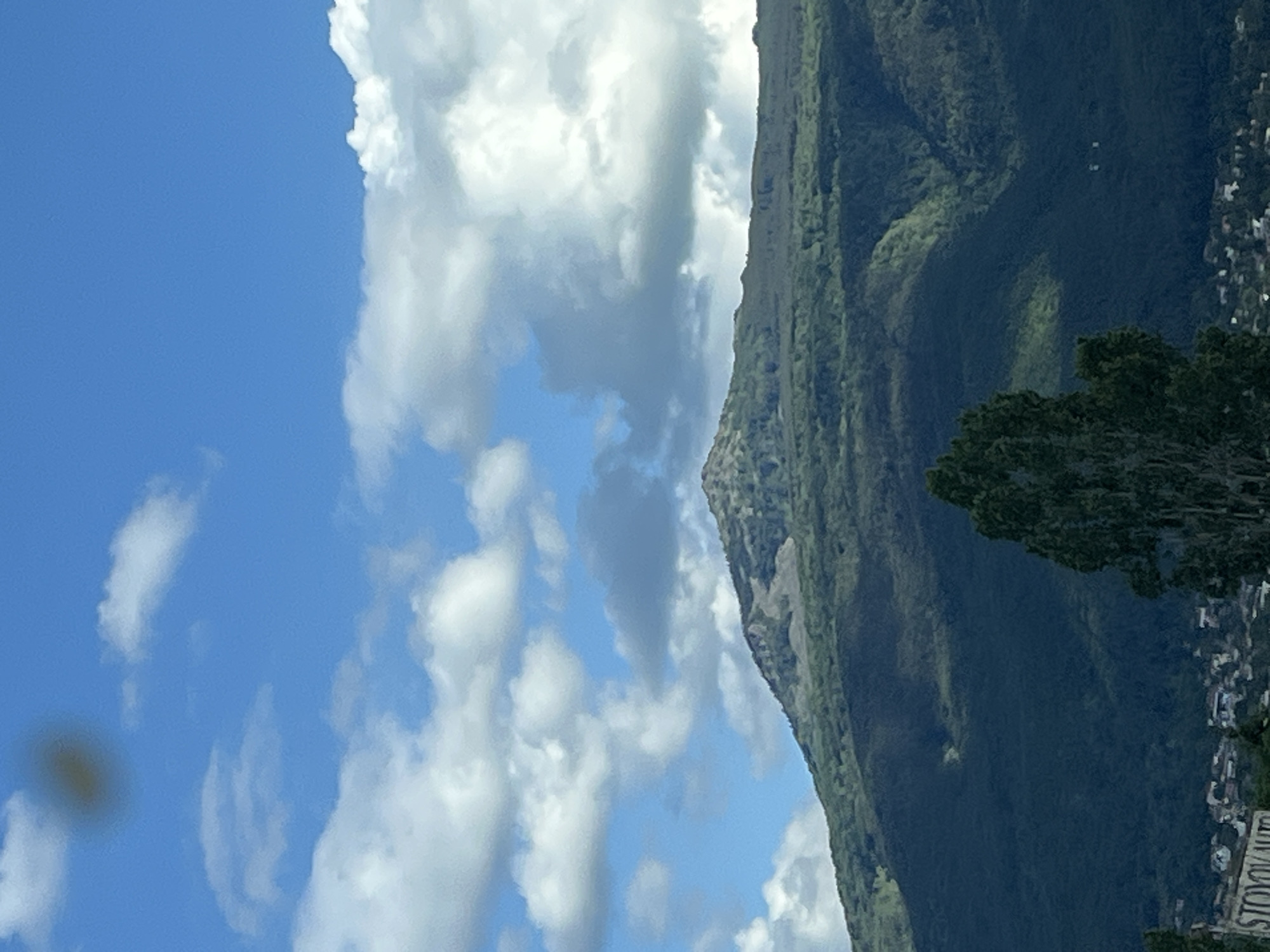 The image shows a mountain range covered in dense green forest under a bright blue sky dotted with white clouds. The peak of the mountain is rocky and barren in some sections, suggesting a natural landscape. In the foreground, a tall, dark green tree stands prominently, its branches reaching upwards. Below the tree line and the mountain, a settlement of buildings with red roofs is visible, interspersed with vegetation. A sign with the partial text "STOYOV AUTO" is present in the lower left corner, indicating a business. The overall scene depicts a natural mountain landscape with a human settlement at its base under a clear, sunny sky.