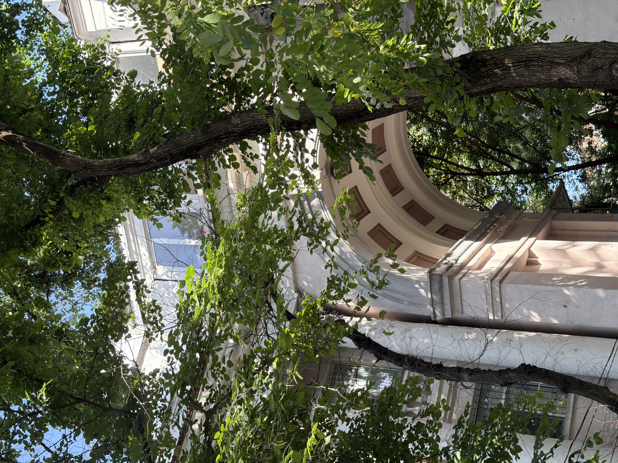 A low-angle shot reveals a portion of a building in Bishkek City, Kyrgyzstan, seen through dense foliage. The architectural features visible include an archway with decorative panels and a series of windows. The building is rendered in light tones, with the archway exhibiting a cream color and darker accents. A mature tree with a thick, gnarled branch is positioned prominently in the foreground, its green leaves partially obscuring the building. The sky is visible in small patches between the leaves.