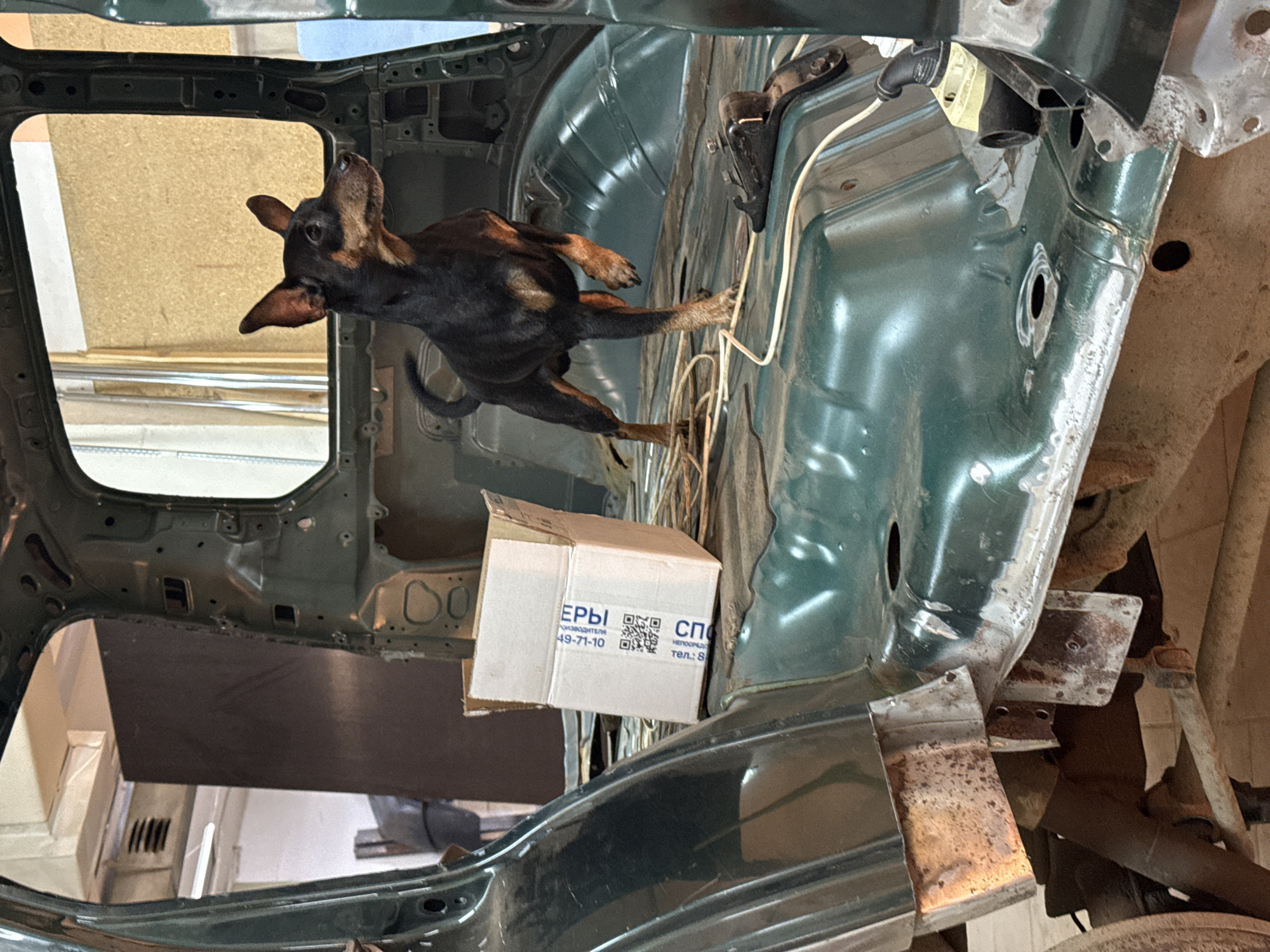 A small, tan and black dog is inside the gutted frame of a vehicle. A white box with Russian text and a QR code is on the frame near the dog. The location is likely in Perm, Russia given the Russian text on the box. The vehicle frame is green and in a state of disrepair with exposed metal, rust, and missing parts. The environment appears to be an auto repair shop or garage.