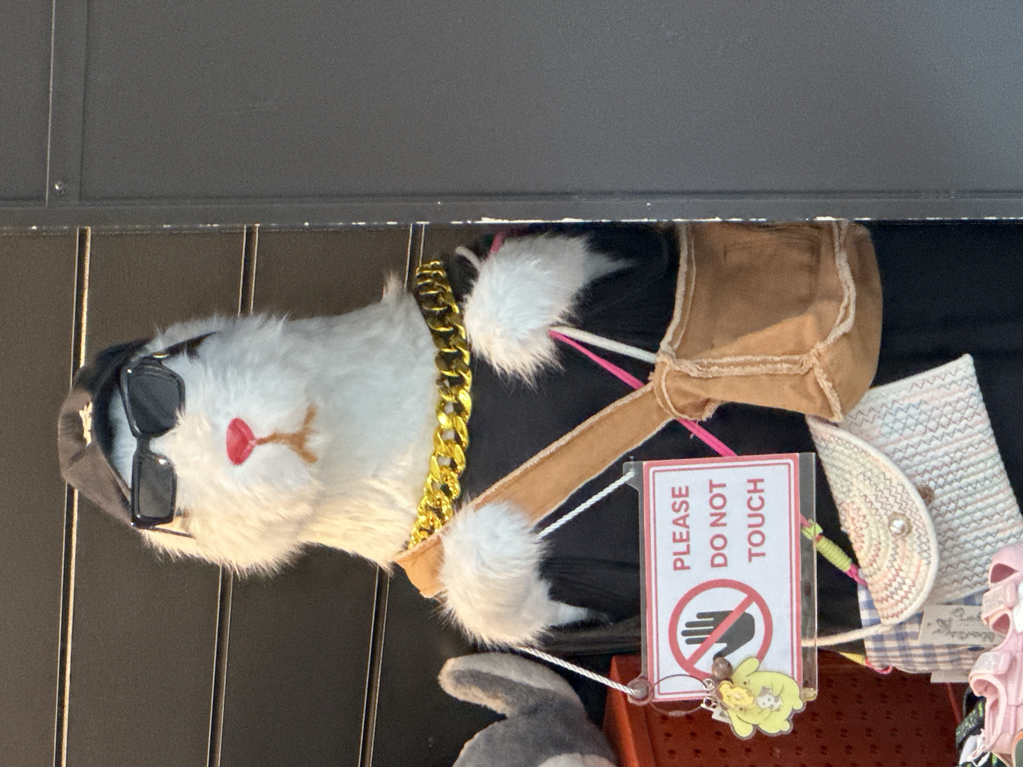 A mannequin, styled to resemble a white dog, stands in a store. It is wearing a black baseball cap, black sunglasses, and a thick gold chain. It also has a small brown purse slung over its shoulder and a "Please Do Not Touch" sign hanging from its neck. In front of the mannequin are several small items, including pink child-sized sandals and a woven purse. The background appears to be shelving or displays within a retail environment. The image was taken in Burnaby, Canada.