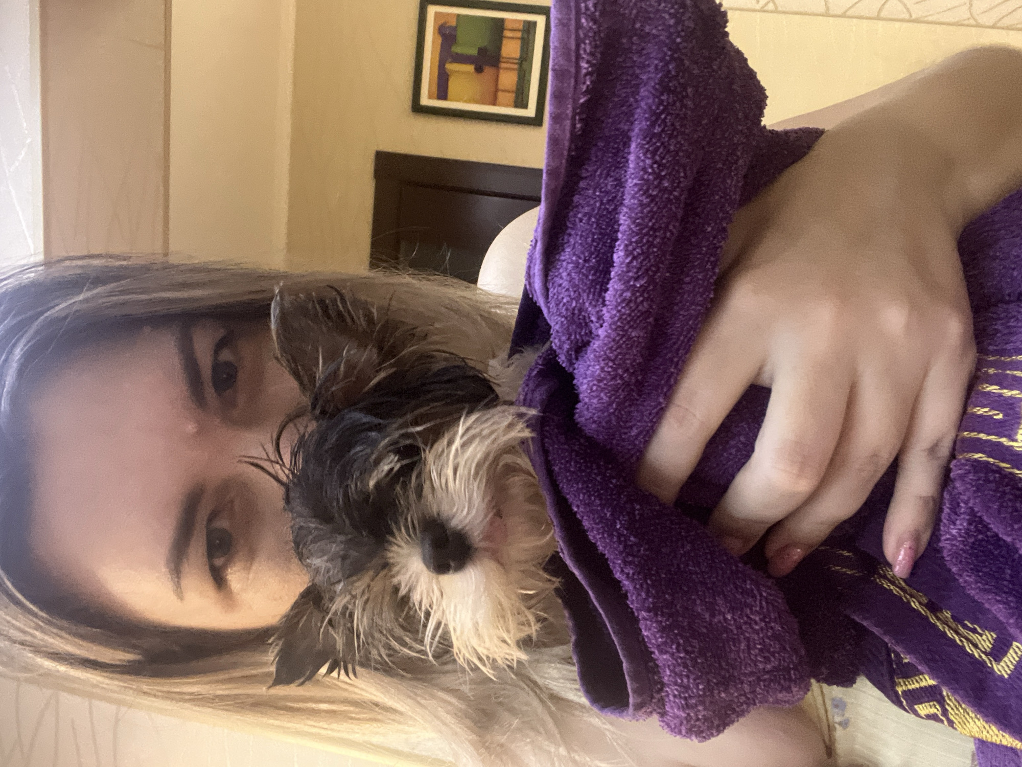 A woman with blonde hair is holding a small, wet, black and tan Yorkshire Terrier puppy wrapped in a purple towel. The woman's face is partially obscured by the puppy and her hair. The puppy's fur appears wet and matted. The background shows a wall with horizontal paneling, a dark brown door, and a framed abstract painting on the right. The scene appears to be indoors, likely a bathroom or bedroom. There is no information in the image that indicates the location is in the city of Sochi, Russia.