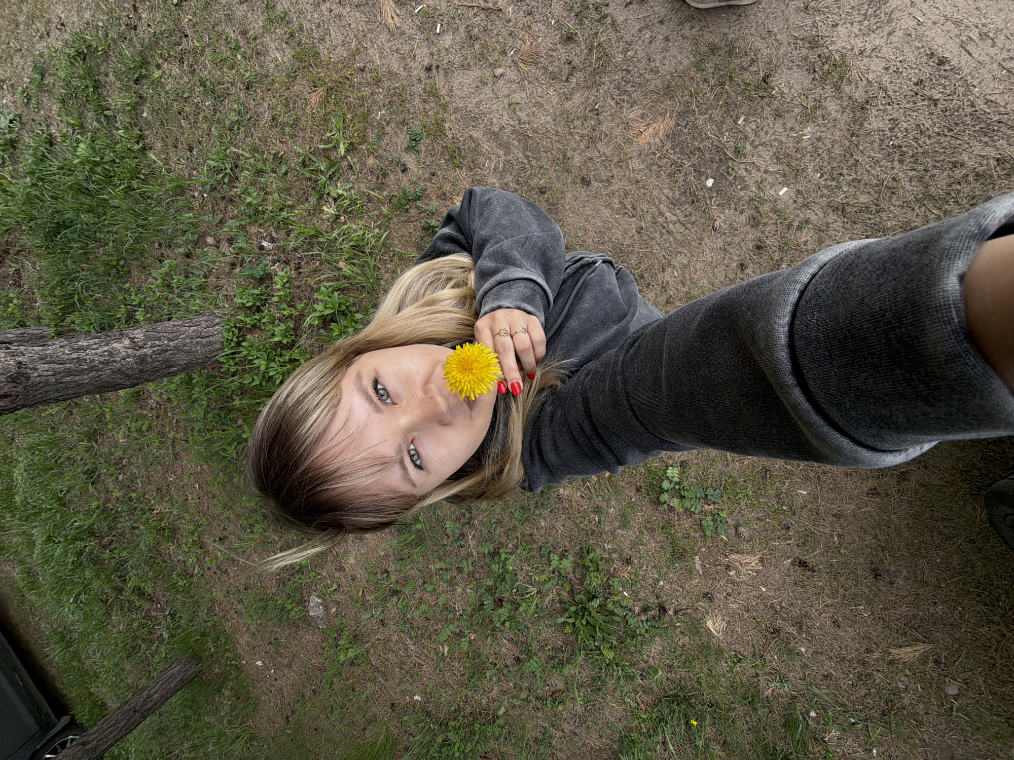 A woman is photographed in an outdoor setting, possibly a park or grassy area, in the city of Chaikovsky, Russia. She is angled towards the camera, holding a yellow dandelion flower near her face. She has light brown hair with blonde highlights and is wearing a gray sweatshirt. Her nails are painted red, and she wears rings on her fingers. The ground is covered with grass, dirt, and fallen leaves. A tree trunk is partially visible on the left side of the image.
