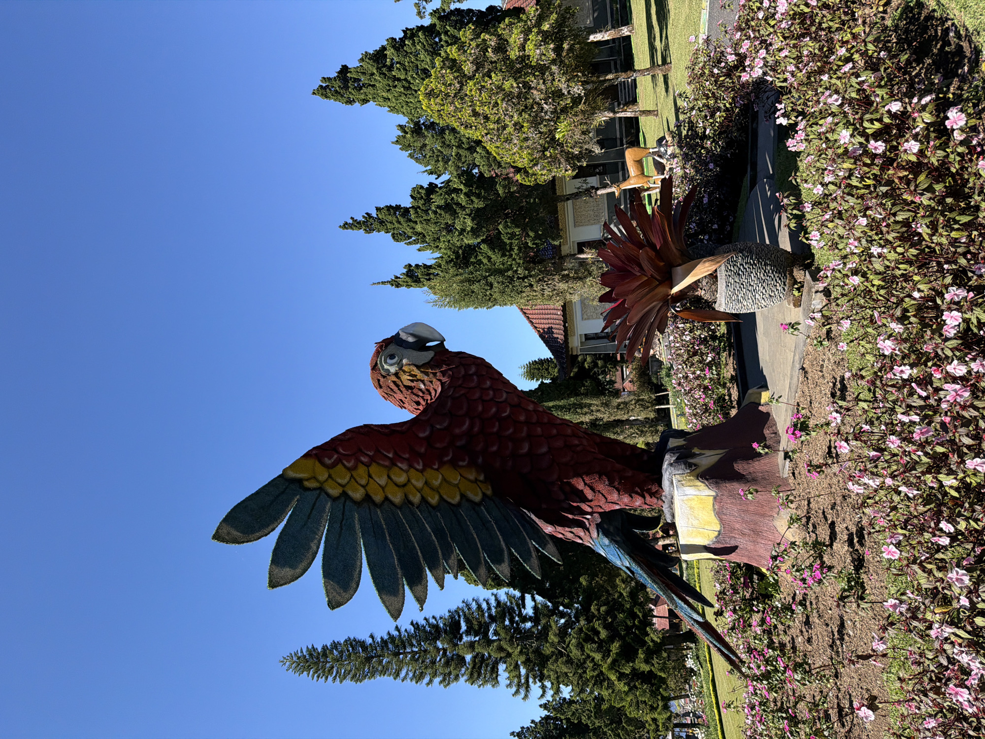 This image depicts a large, colorful statue of a macaw in a garden setting. The macaw statue, predominantly red with accents of blue, yellow, and green, is positioned on a stone base that resembles a tree stump. Its wings are spread wide, suggesting flight or an alert stance.
Surrounding the macaw are beds of pink and purple flowers, with mulch visible around the plants. In the background, several tall cypress trees are interspersed with other foliage. A building with a red-tiled roof and white walls is visible behind the trees, suggesting it's part of a park or resort. Further in the background, a small statue of a deer stands on a grassy area.
The sky is clear and blue, indicating fair weather. The lighting suggests it is daytime, with sunlight casting shadows on the ground. The overall scene appears to be an outdoor decorative area within a well-maintained garden or park, likely a tourist attraction. While the specific location in Baturiti, Indonesia, is mentioned, there are no explicit visual cues within the image to confirm this, such as signage or distinctive local architecture beyond general tropical or subtropical landscaping.