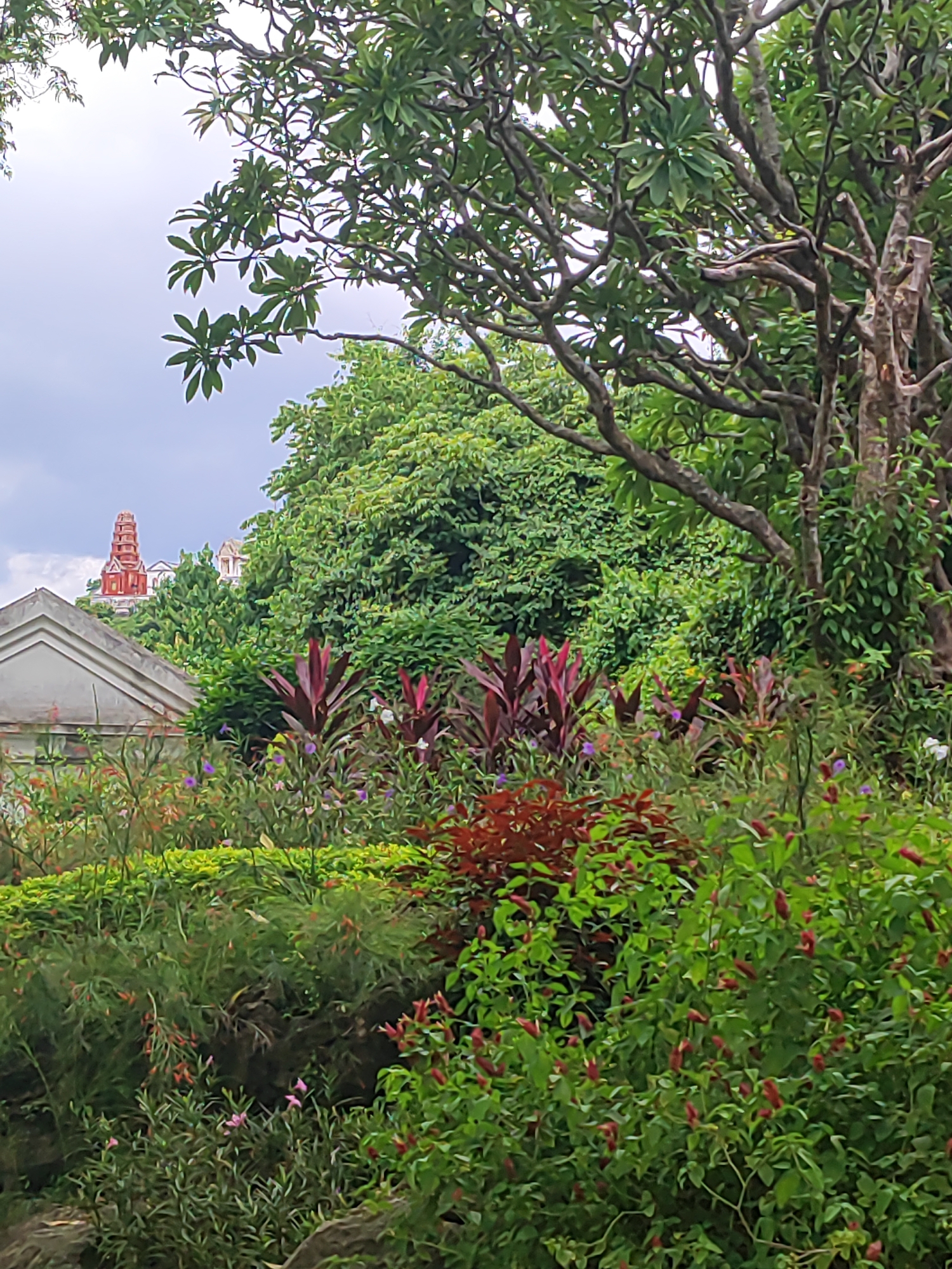 The image depicts a lush garden landscape with a distinct red pagoda-like structure visible in the background. The foreground is filled with a variety of green foliage, including trees with thick branches and smaller plants with red and purple leaves. Some small purple flowers are also scattered throughout the garden. In the upper left portion of the image, a light-colored, angular structure with a pointed roof is partially visible, possibly part of a building. The sky above is overcast and grayish. The red structure in the distance, with its tiered, pagoda-like design, is a prominent feature, suggesting a location of cultural or religious significance. This scenery is consistent with the grounds of Wat Phra Non, a temple located in Phetchaburi, Thailand, known for its unique architectural style and surrounding natural beauty. There are no people visible in the image.