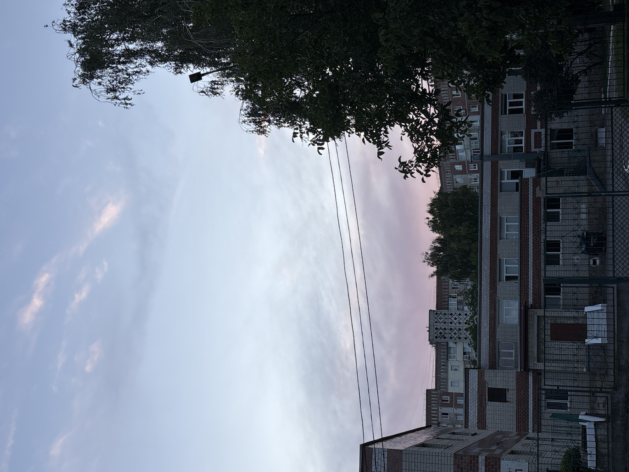 The image depicts a twilight scene in Ternopil, Ukraine, with a view of residential buildings and a large tree. The sky displays a gradient of colors, from a pale blue at the top to a soft pinkish hue near the horizon, suggesting the presence of thin, wispy clouds illuminated by the setting sun. Power lines are visible stretched horizontally across the middle ground of the image, obscuring parts of the sky.
In the foreground, a multi-story brick building with red and grey brickwork and white-framed windows is partially visible on the left. Adjacent to it, and extending across the center of the image, is another similar building, likely part of the same complex. This building features multiple windows, some of which are illuminated, and a dark red door visible in the central section. A black metal fence with a repeating geometric pattern runs along the front of these buildings, separating them from an unseen area in front.
Behind the primary buildings, a taller residential building is visible, characterized by a more intricate, diamond-patterned facade element in its upper section. Further in the background, more residential structures with visible windows and balconies can be seen. The scene is framed on the right by a large, dense tree with dark green foliage, its branches reaching towards the sky and partially obscuring the light and the buildings. A black lamppost is also visible amongst the tree branches, a common feature in urban environments. The overall impression is a quiet, residential area at dusk.