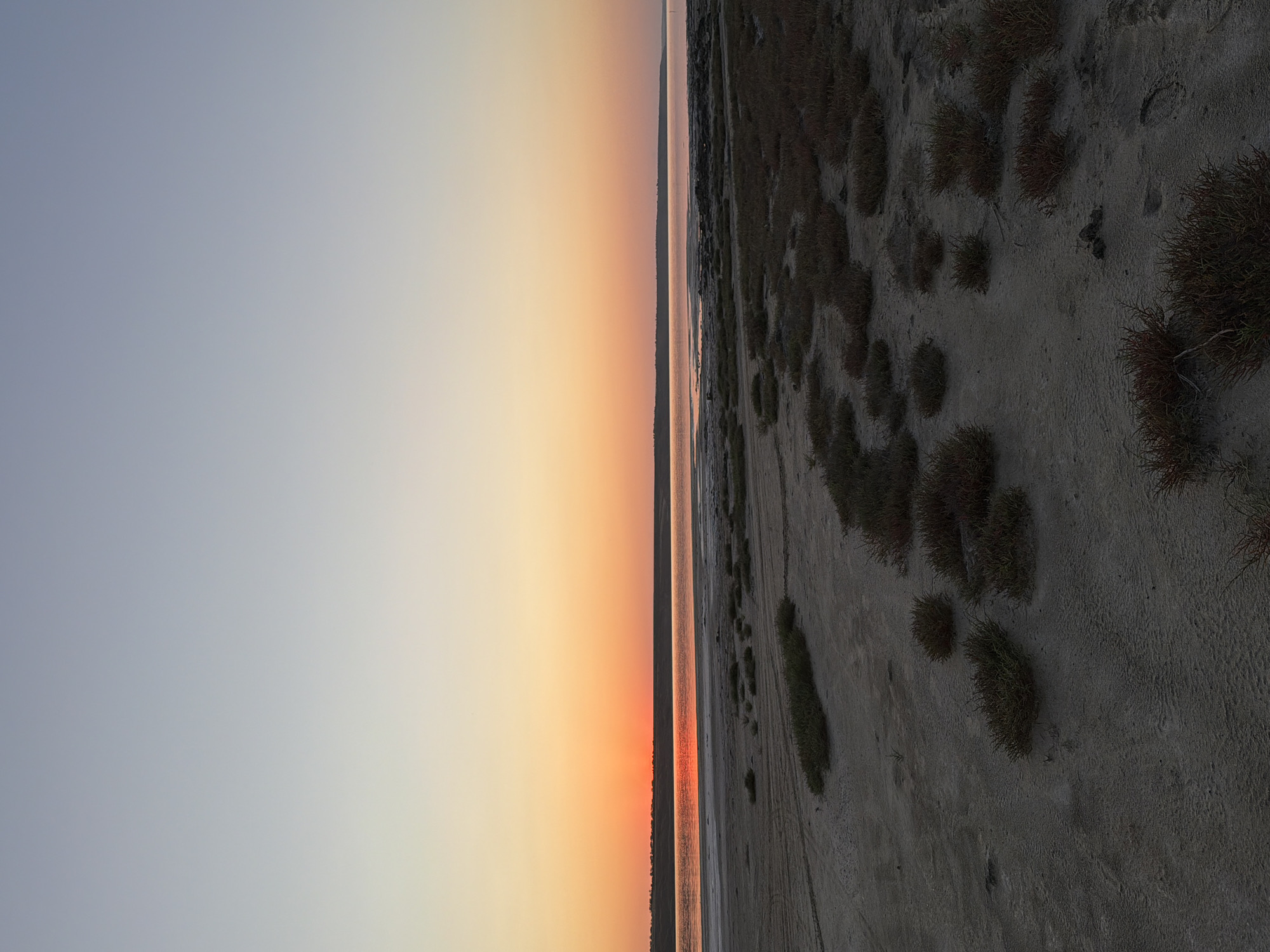 This vertical, full-frame photograph captures a serene sunset over a body of water, likely the Kuyalnik Estuary, situated on the outskirts of Odesa, Ukraine. The sky transitions from a pale, almost clear blue at the top of the frame to a warm gradient of orange and yellow near the horizon, where the sun is setting. A sliver of the sun is visible just above the distant, dark, tree-lined shore, casting a vibrant orange reflection on the calm water. The foreground is a dry, sandy expanse dotted with low-lying, scrubby vegetation, some of which appears reddish-brown, suggesting they are dry or adapted to saline environments. The terrain is uneven, with tire tracks or footprints visible in the sand in the lower left quadrant. The overall atmosphere is peaceful and natural, devoid of any human presence or man-made structures beyond the implied distant shoreline.