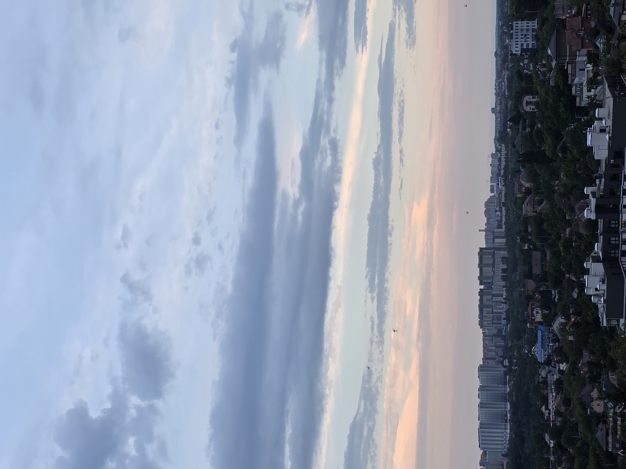 The image shows a panoramic view of the Kyiv, Ukraine skyline at dusk. The sky is filled with a mix of light and dark clouds, with hues of pink and orange indicating the setting sun. In the foreground, a dense canopy of green trees covers the rolling hills. Nestled amongst the trees are various houses and buildings, some appearing to be residential homes and others taller apartment buildings. In the distance, a prominent row of modern, multi-story apartment complexes stretches across the horizon. Several birds are visible in flight against the sky. The overall impression is a serene and expansive urban landscape transitioning into evening.
