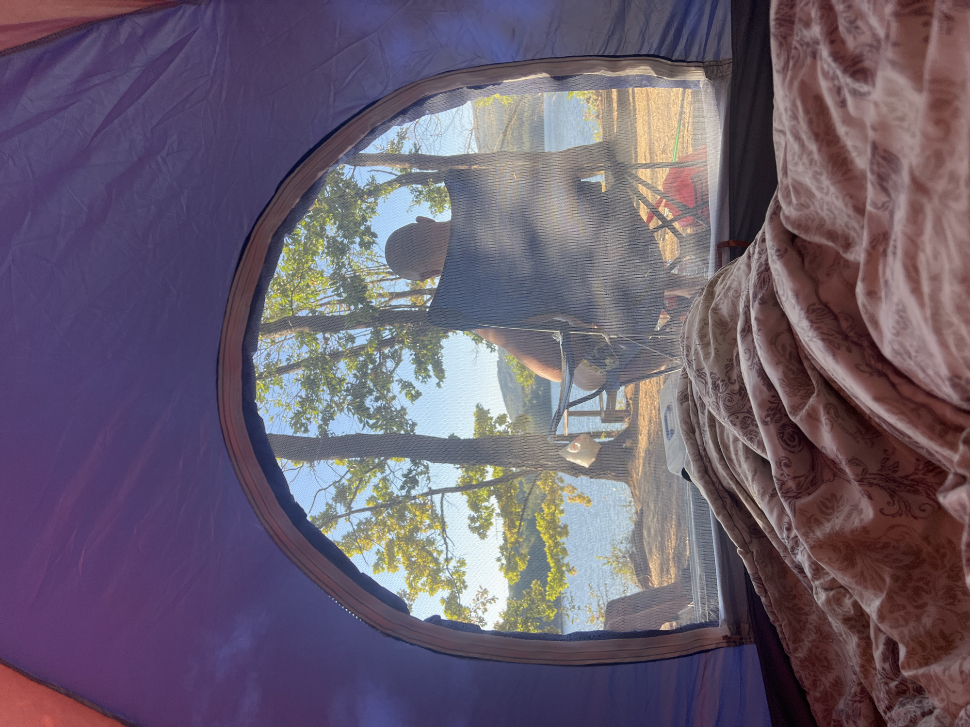 An interior view from inside a tent looks out through an arched mesh opening to a serene outdoor scene. In the foreground, a patterned blanket is spread across what appears to be a sleeping bag. Beyond the tent opening, a bald man sits facing away from the camera in a dark-colored camping chair. He is looking towards a body of water, possibly a lake or river, that extends into the distance. Several trees with green and yellow foliage are scattered around the water's edge, with a gentle hillside visible on the far side of the water. The sky is clear and blue, suggesting a sunny day. A red object, possibly a bag or cooler, is visible near the camping chair. The overall atmosphere is one of peaceful contemplation and relaxation in a natural setting. The location is identified as Brachkovtsi, Bulgaria.