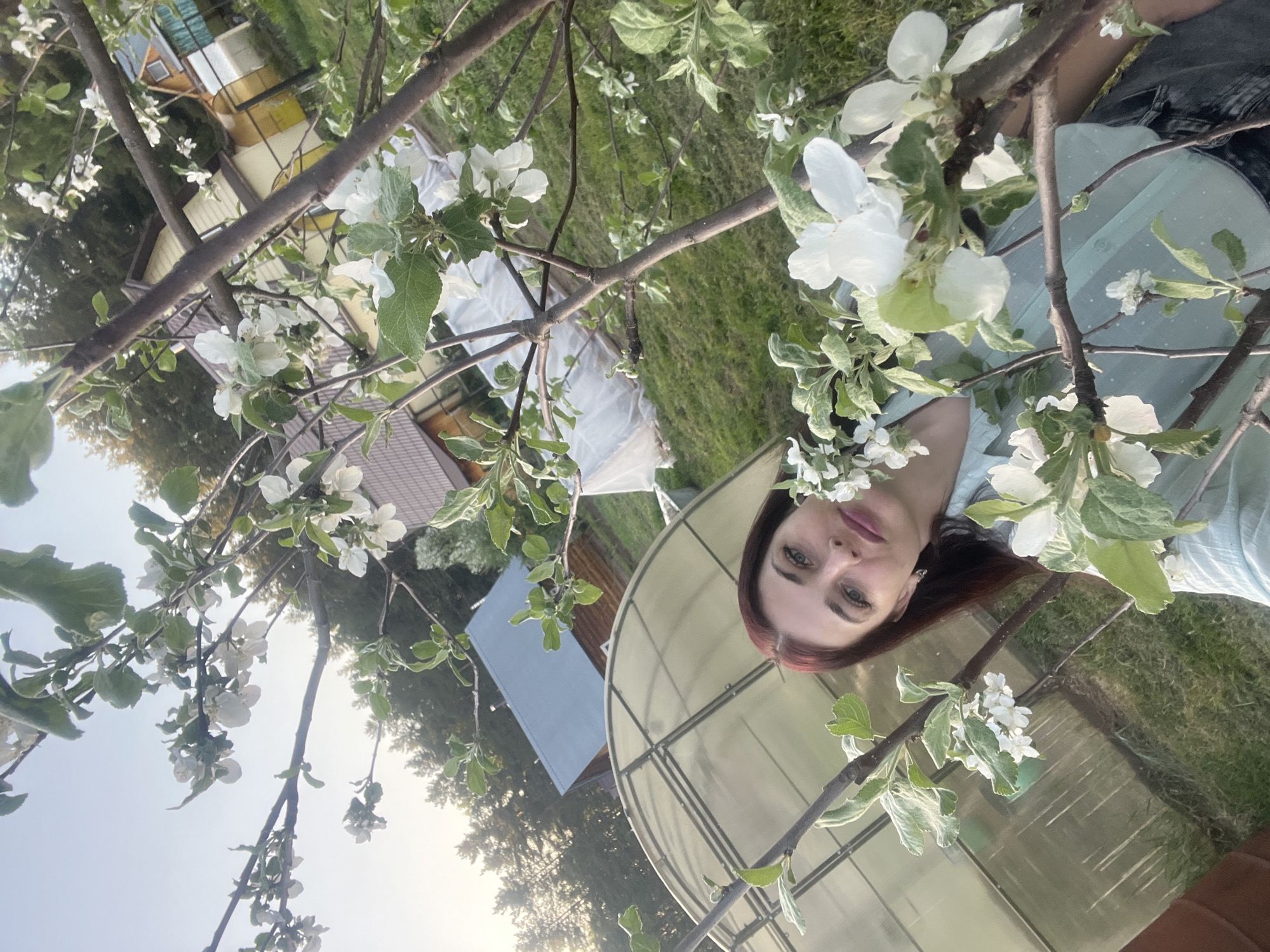 The image shows a woman with auburn hair and green eyes standing beneath a tree blooming with white flowers, likely in a residential area. The background includes a greenhouse with a translucent cover, a wooden house with a brown roof, and a blue shed. The location is likely Garevaya, Russia, based on the prompt. The woman is wearing a light blue shirt and appears to be looking at the camera. The blooming tree branches frame the scene, adding a foreground element to the background landscape.