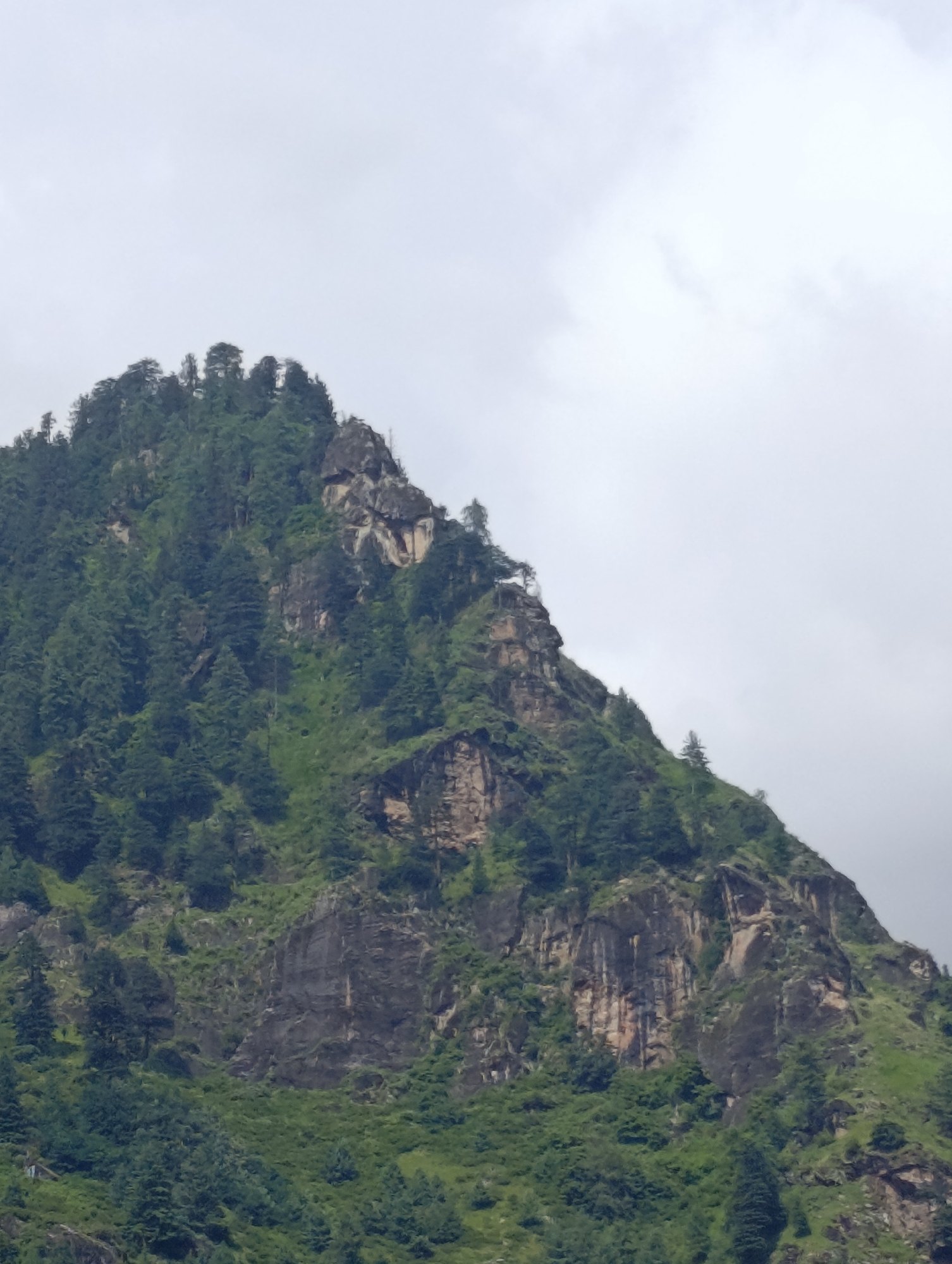 The image shows a densely forested, rocky mountain peak against an overcast sky. The mountain is covered with a thick growth of coniferous trees, primarily in shades of dark green. Exposed rock faces, characterized by rugged textures and varying shades of brown and gray, are visible in several areas, particularly towards the upper part of the peak. The sky is a uniform pale gray, suggesting cloudy weather conditions. The image appears to be a landscape photograph taken from a distance, focusing on the natural scenery of the mountain. The specific location in Siumsa, India, is not visually evident from the image itself, but it depicts a mountainous terrain typical of the region.