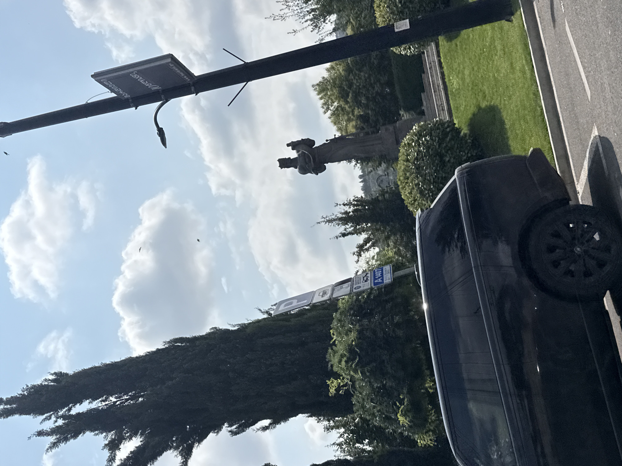 A dark-colored SUV is parked on the right side of a road in Tbilisi, Georgia. To the right of the SUV, a tall, dark lamppost stands, with a rectangular sign attached to it. The lamppost is positioned on a grassy area bordered by a sidewalk. In the background, a statue of a figure wearing a crown is visible, standing in front of lush green trees. A large, dark cypress tree dominates the left side of the image, its branches reaching towards the sky. The sky is partly cloudy with a few white clouds against a blue backdrop. Several traffic signs are mounted on a pole to the left of the lamppost, indicating parking restrictions. One sign is blue with a white "P," and another has a white number "A 1407" inside a blue circle.