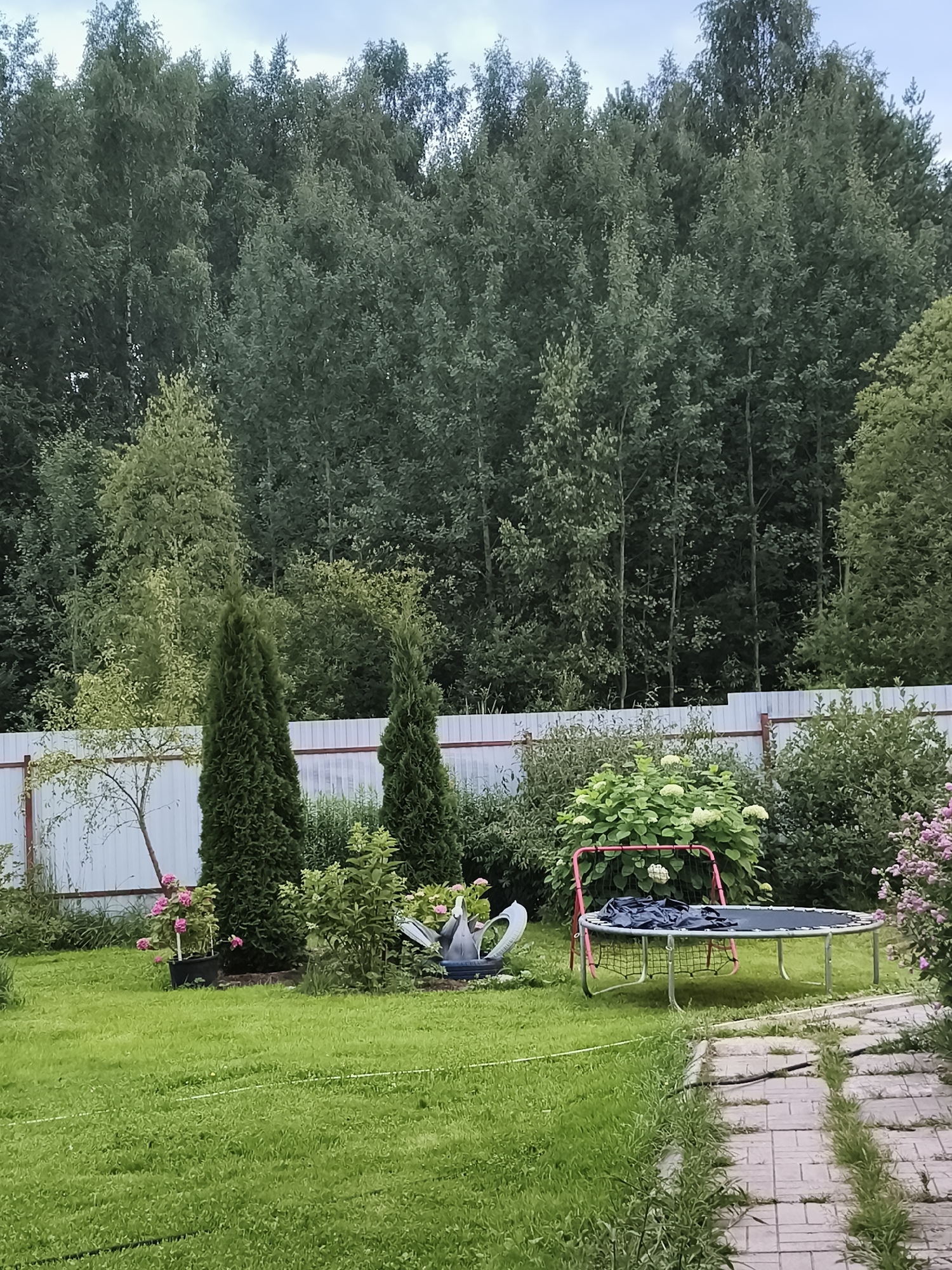In the outdoor area of a private residence in the settlement of Zverosovkhoz, Russia, a trampoline with a dark blue safety net and frame is situated on a green lawn. Adjacent to the trampoline is a pink goal frame, and a white watering can is placed on the grass. Several evergreen trees, including two tall, conical cypress trees, are visible in the yard, along with other lush green foliage and a bush with white flowers. A white fence runs along the perimeter of the property, separating it from a dense forest in the background. A paved pathway made of light-colored rectangular stones leads into the yard from the right side of the frame. The sky above is overcast.