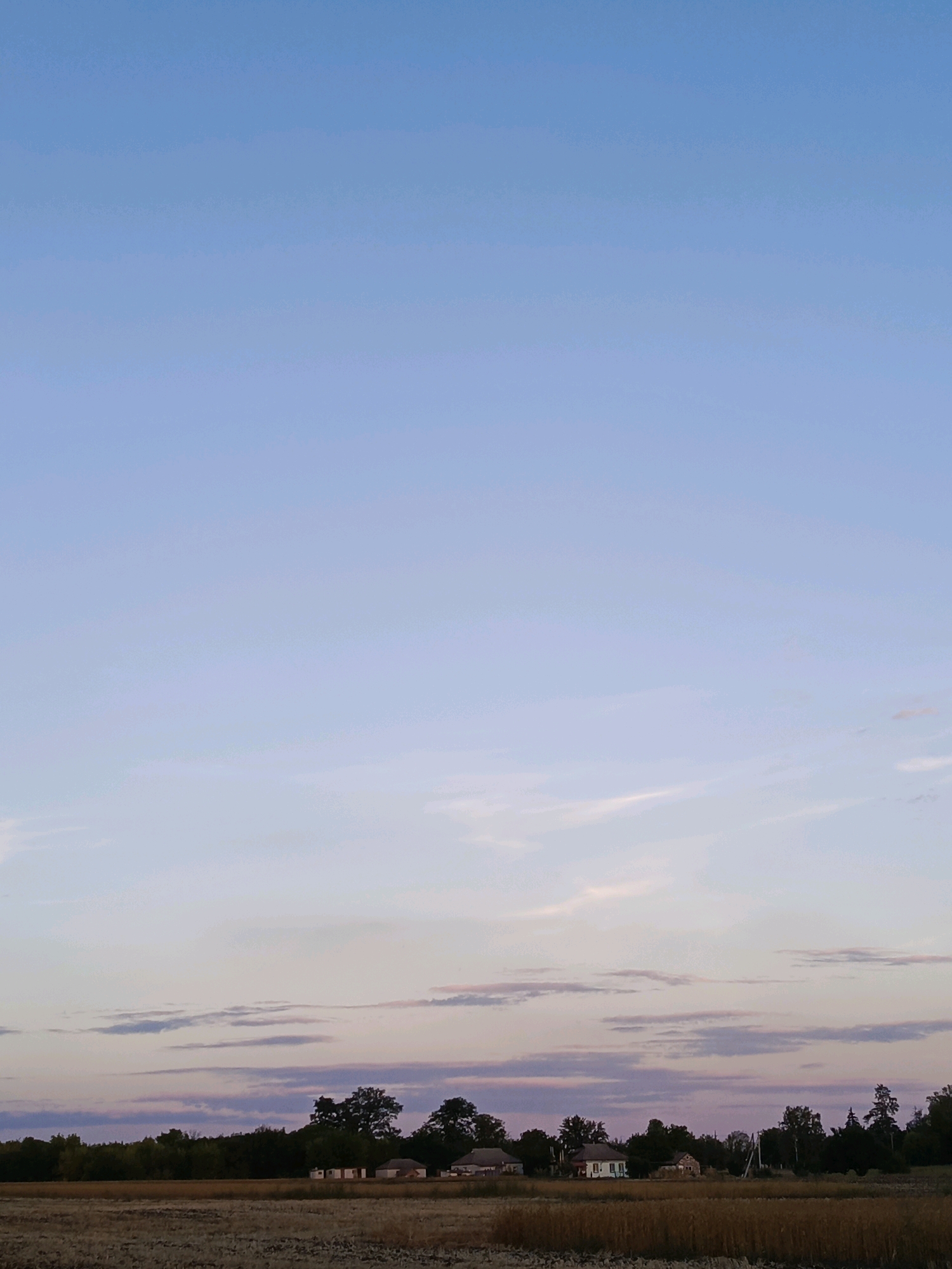 This is a vertical, eye-level, outdoor shot of a rural landscape at dusk. The sky dominates the upper portion of the frame with a gradient of light blue to pale pink, with thin, wispy clouds. Below the sky, a horizontal band of trees forms the background, with a few scattered houses and structures visible amongst them. The foreground is a field of dry, harvested crops, appearing as a textured, yellowish-brown expanse. There are no people or animals visible in the scene. The overall impression is one of quiet solitude and the transition from day to night in a rural setting.