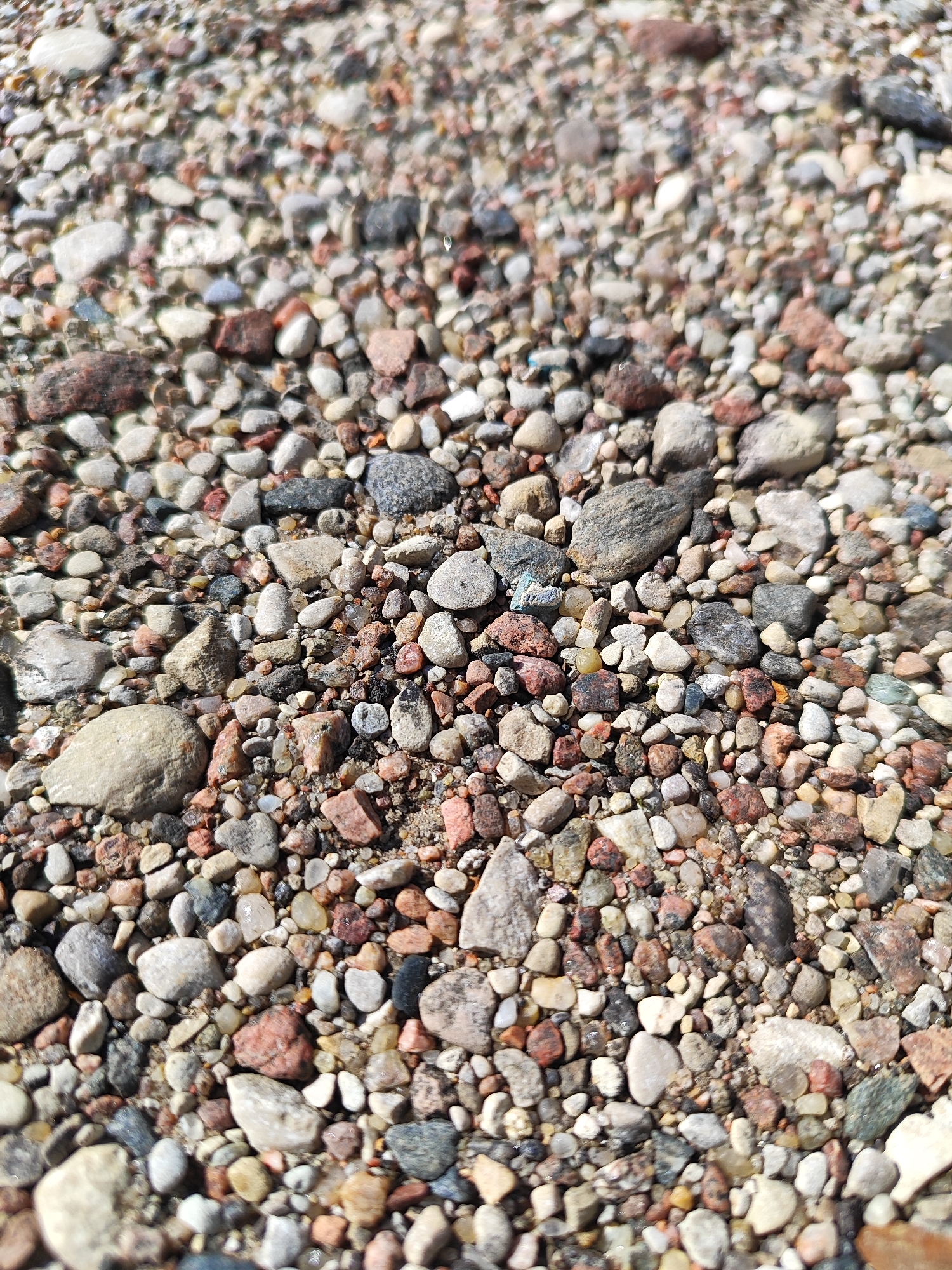 The image is a close-up, overhead view of a ground surface covered in a variety of small to medium-sized stones and pebbles. The stones are of different colors, including shades of grey, white, pink, brown, and some with darker speckles. They are irregular in shape and appear to be dry. The background is out of focus, suggesting a shallow depth of field. There are no people or visible objects other than the stones and the ground beneath them. The scene is an outdoor environment, likely a pathway, beach, or undeveloped area. The image does not contain any specific details that would indicate a location within the city of Hrodna, Belarus.