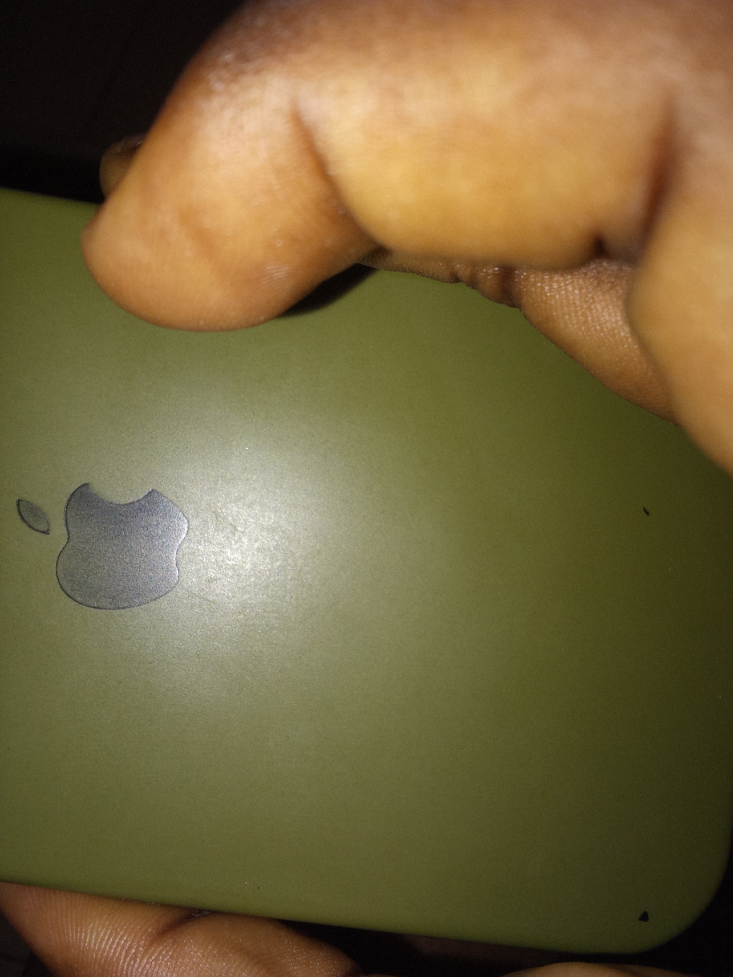 A close-up shot shows a person's hand holding a green object, possibly a phone case. The object has a silver Apple logo in the lower left quadrant of the image. The background is dark, suggesting an indoor setting at night. There is a small black speck on the green surface, and the texture of the hand and the object are clearly visible. The image is not detailed enough to determine the specific location within Safari, Nigeria.