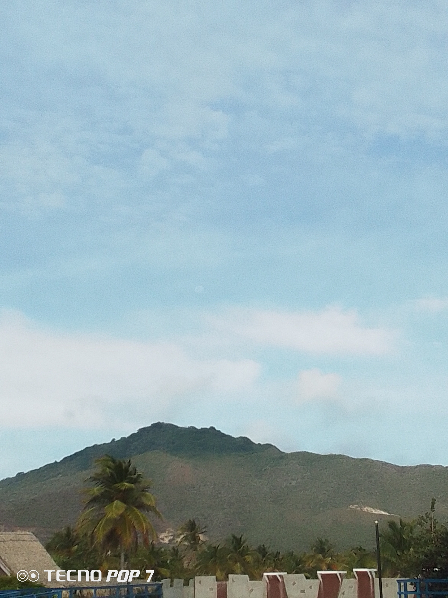 The image presents a daytime view in Pedro González, Venezuela. The upper two-thirds of the image is filled with a light blue sky, subtly patterned with wispy clouds. A large, rounded, green mountain dominates the midground, its peak slightly darker than its slopes. At the base of the mountain, a line of trees, including a prominent palm tree on the left, creates a forest canopy. In the foreground, there is a portion of a building with a brown, thatched roof and a wall constructed with white rectangular blocks, some marked with red or brown vertical stripes. The bottom left corner shows a "TECNO POP 7" brand inscription.